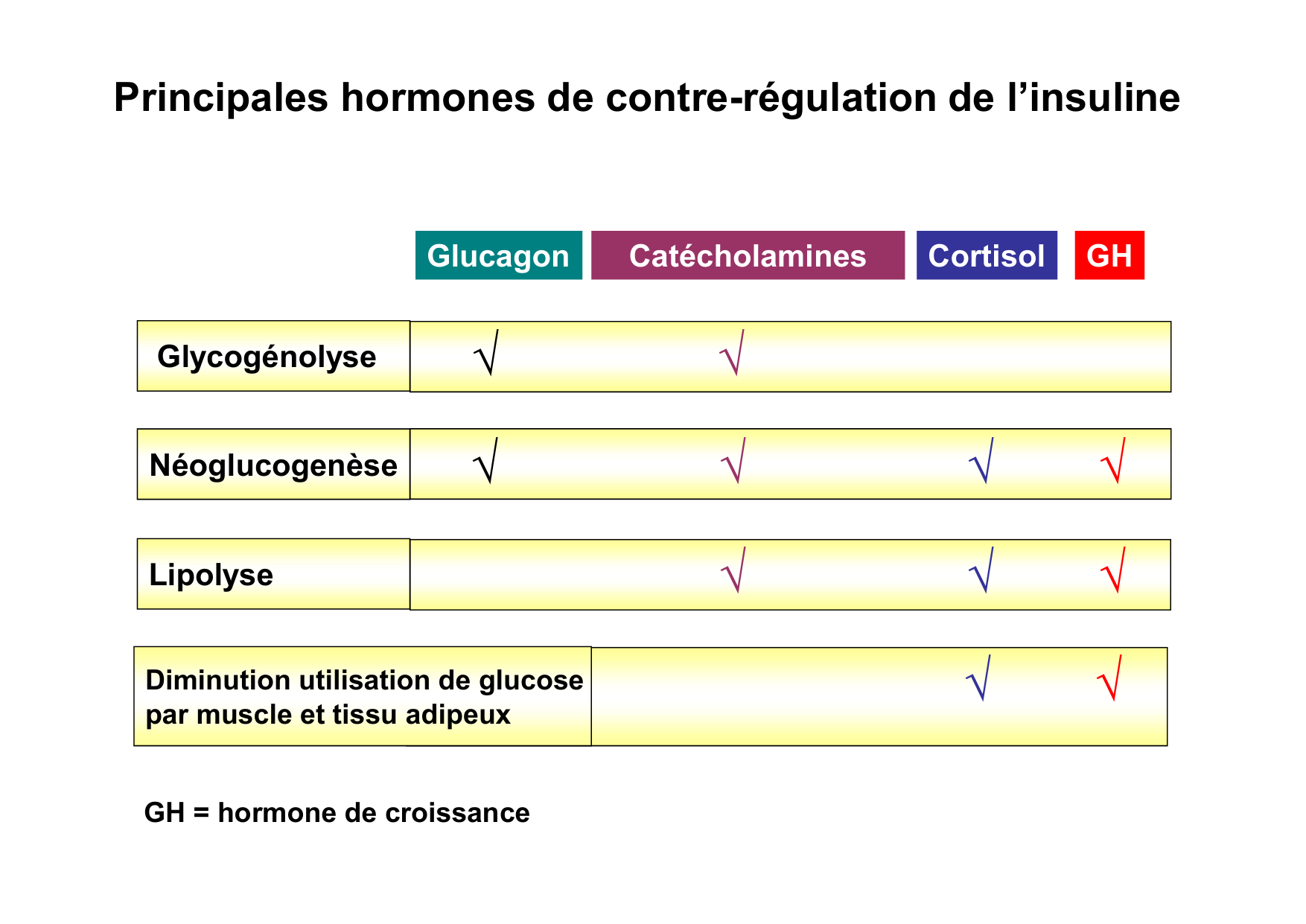 Régulation de la glycémie page 62