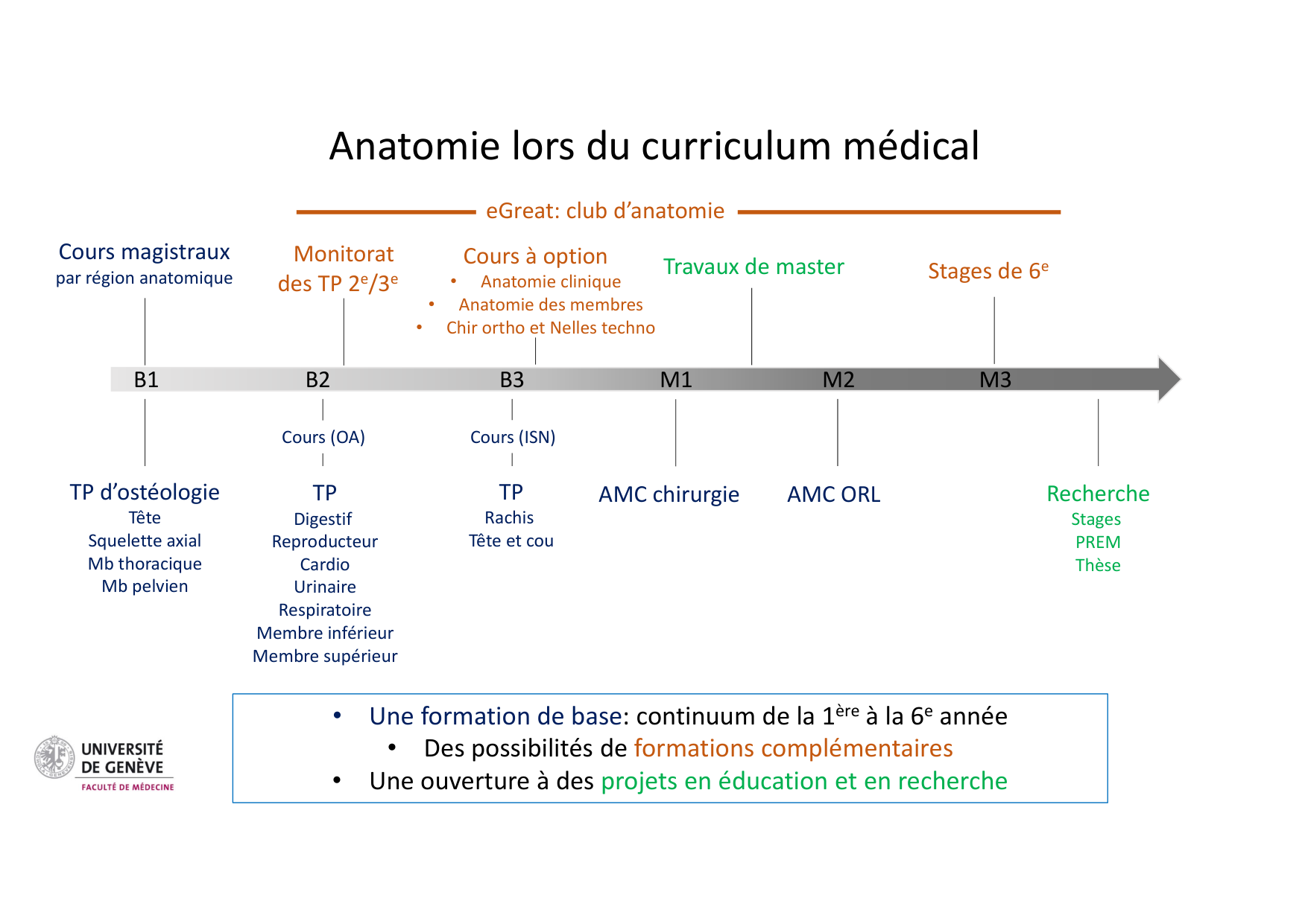 Anatomie endocrinienne — curriculum page 1