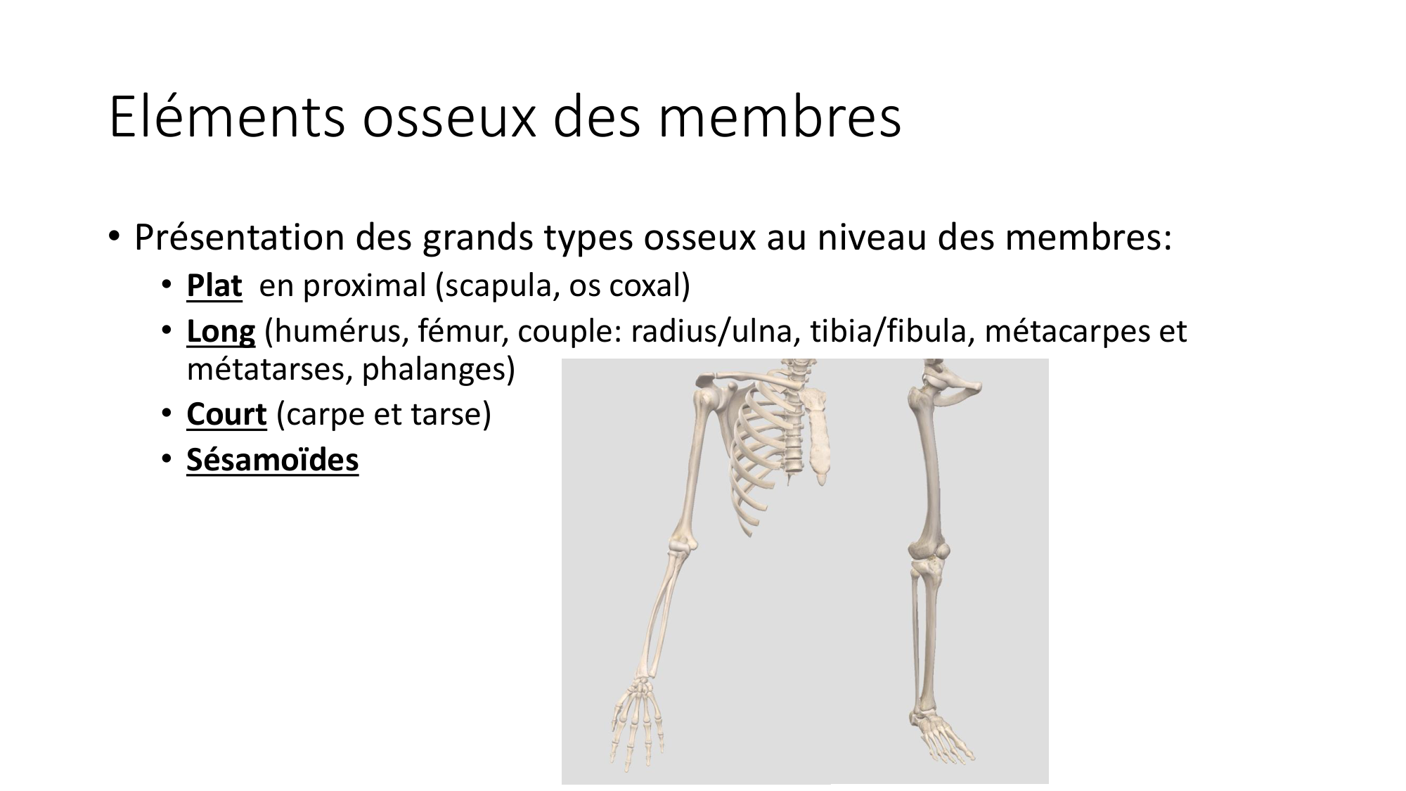 1 BA généralité ostéologie arthrologie 2025-26 page 3