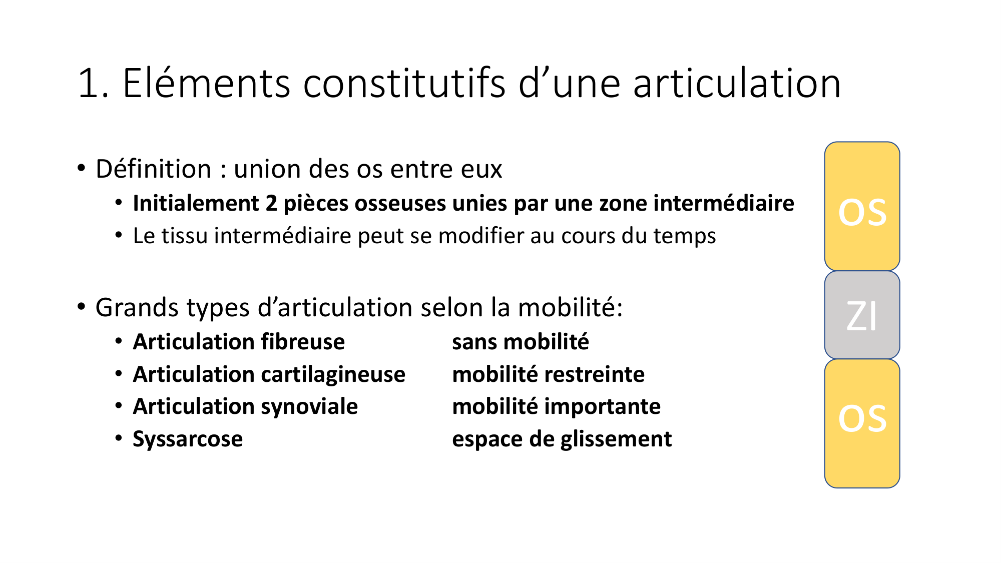 1 BA généralité ostéologie arthrologie 2025-26 page 21