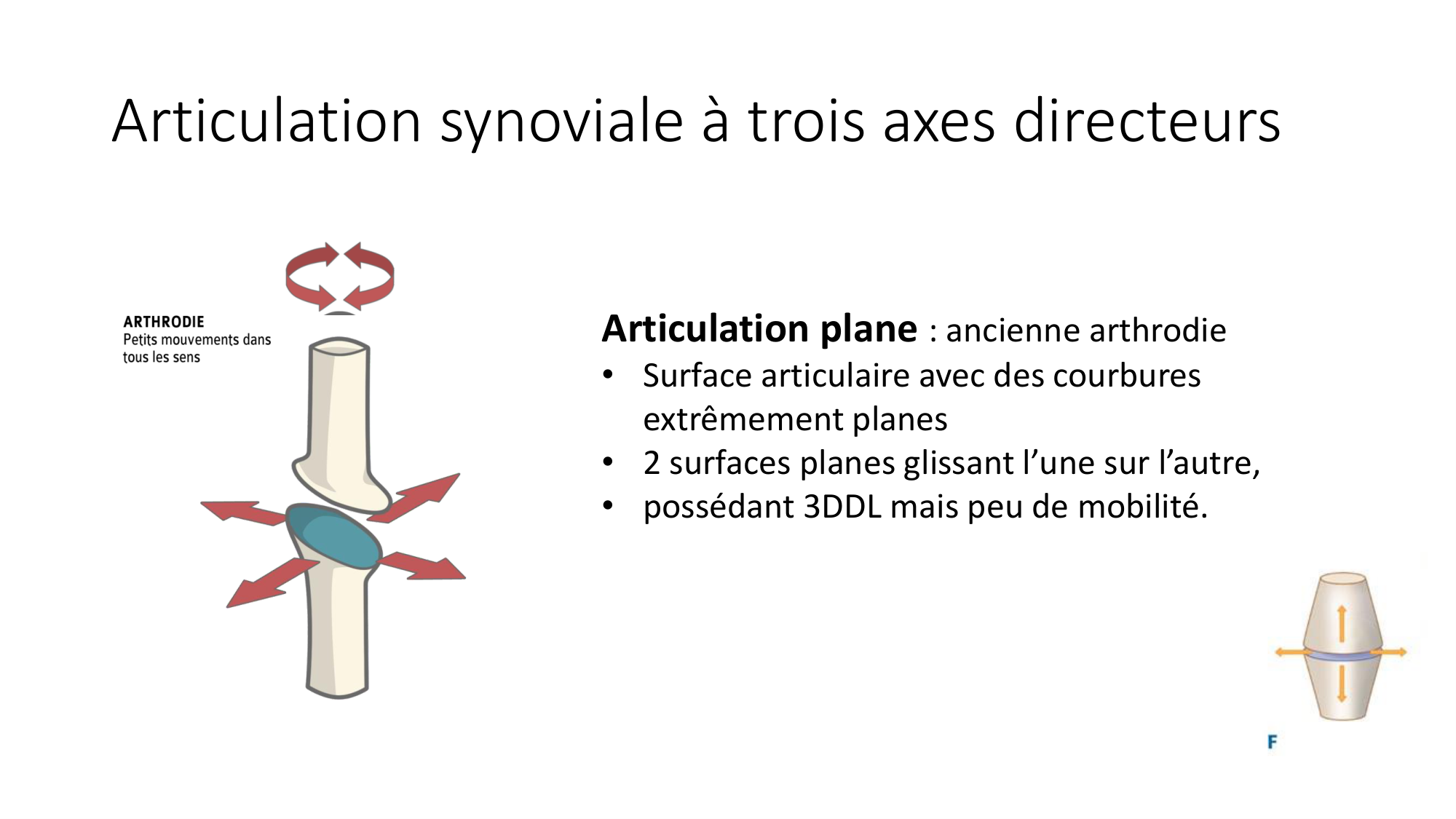 1 BA généralité ostéologie arthrologie 2025-26 page 61