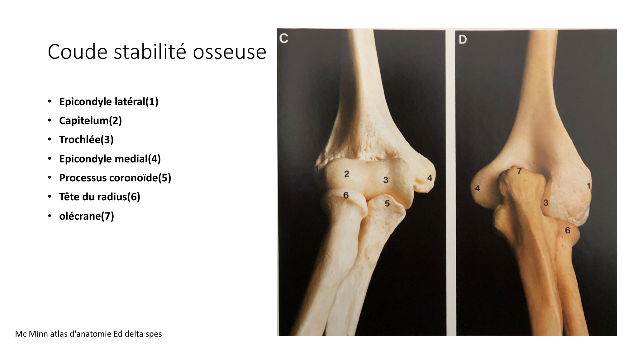 1 BA généralité ostéologie arthrologie 2025-26 page 69