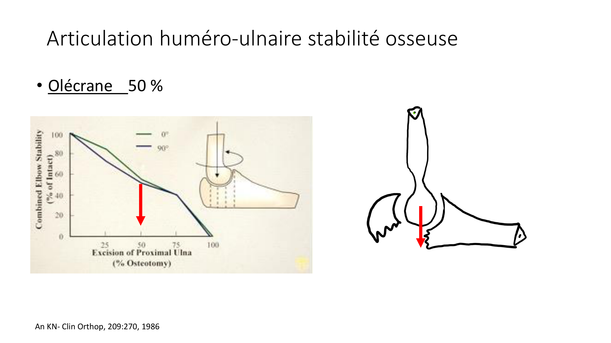 1 BA généralité ostéologie arthrologie 2025-26 page 71