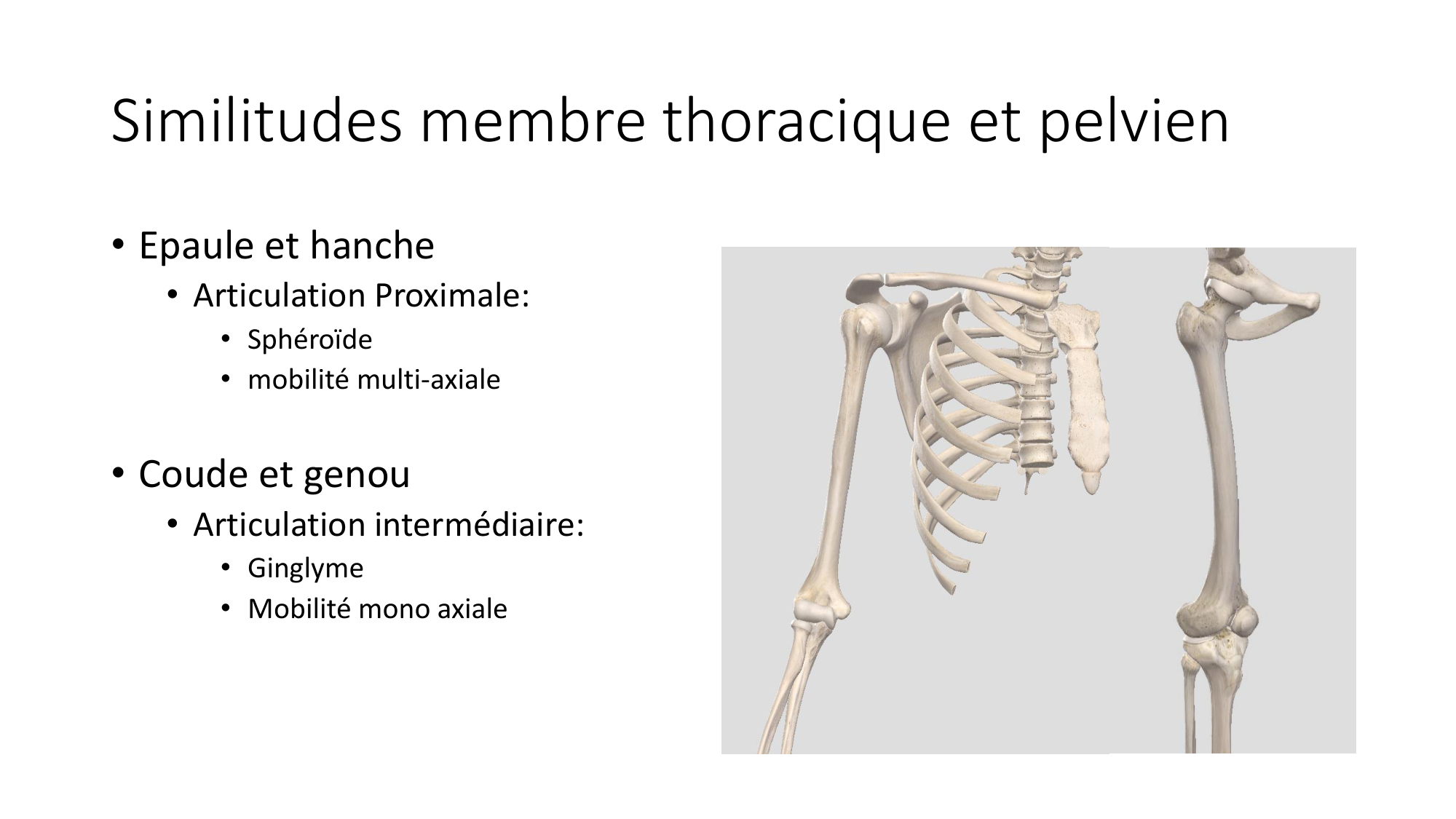 1 BA généralité ostéologie arthrologie 2025-26 page 77