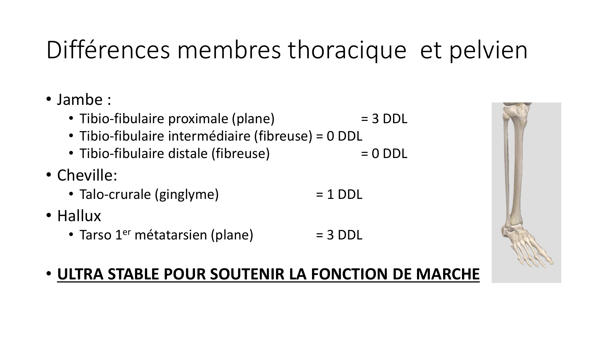 1 BA généralité ostéologie arthrologie 2025-26 page 78