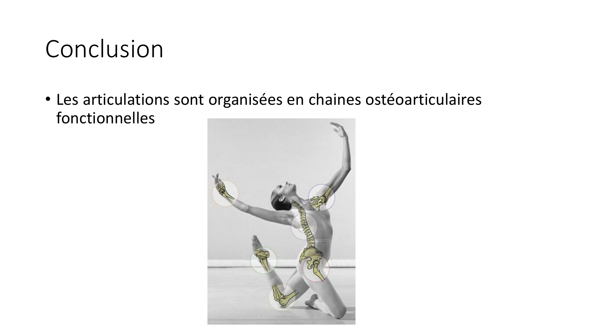 1 BA généralité ostéologie arthrologie 2025-26 page 80