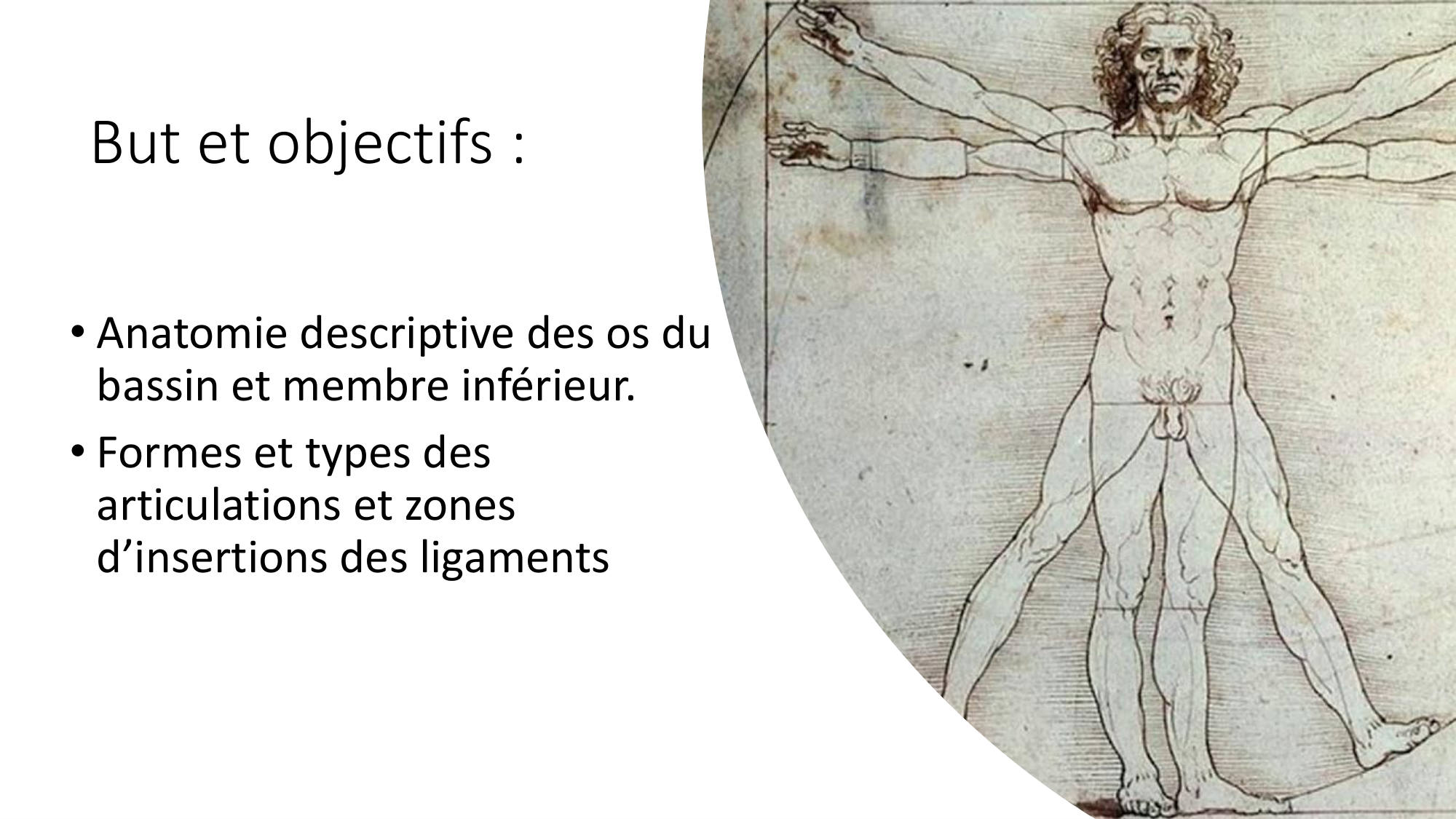 1 BA ostélogie MI bassin 2025-26 page 2