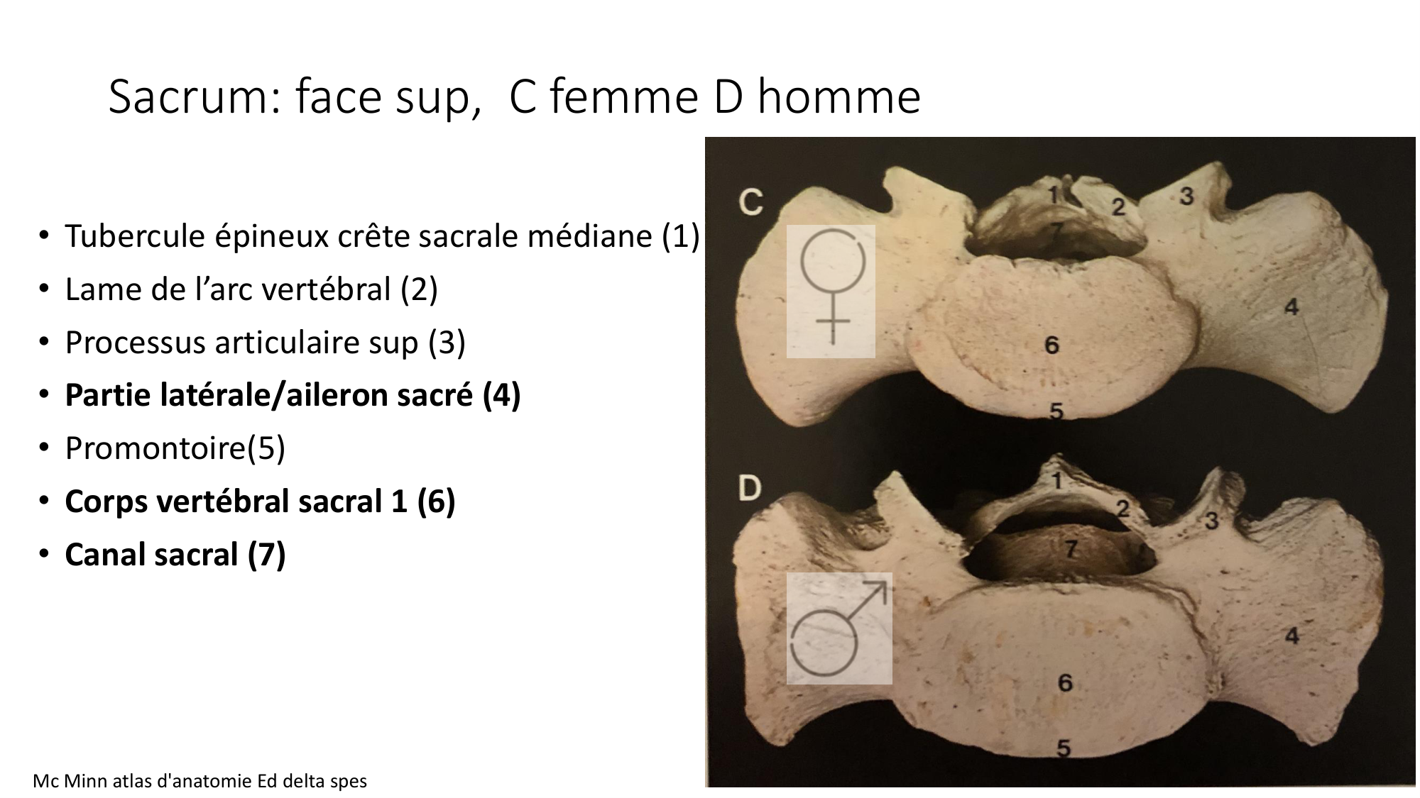 1 BA ostélogie MI bassin 2025-26 page 6