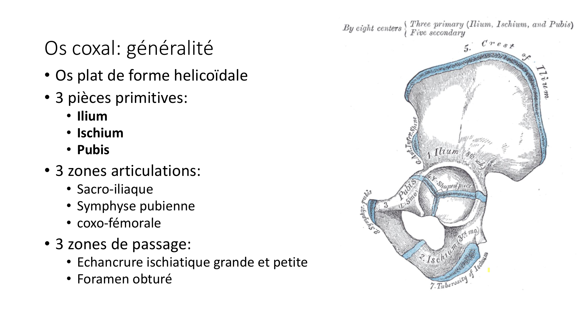 1 BA ostélogie MI bassin 2025-26 page 7