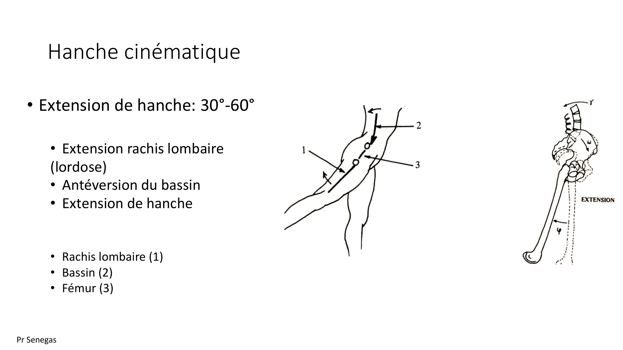 1 BA ostélogie MI bassin 2025-26 page 36