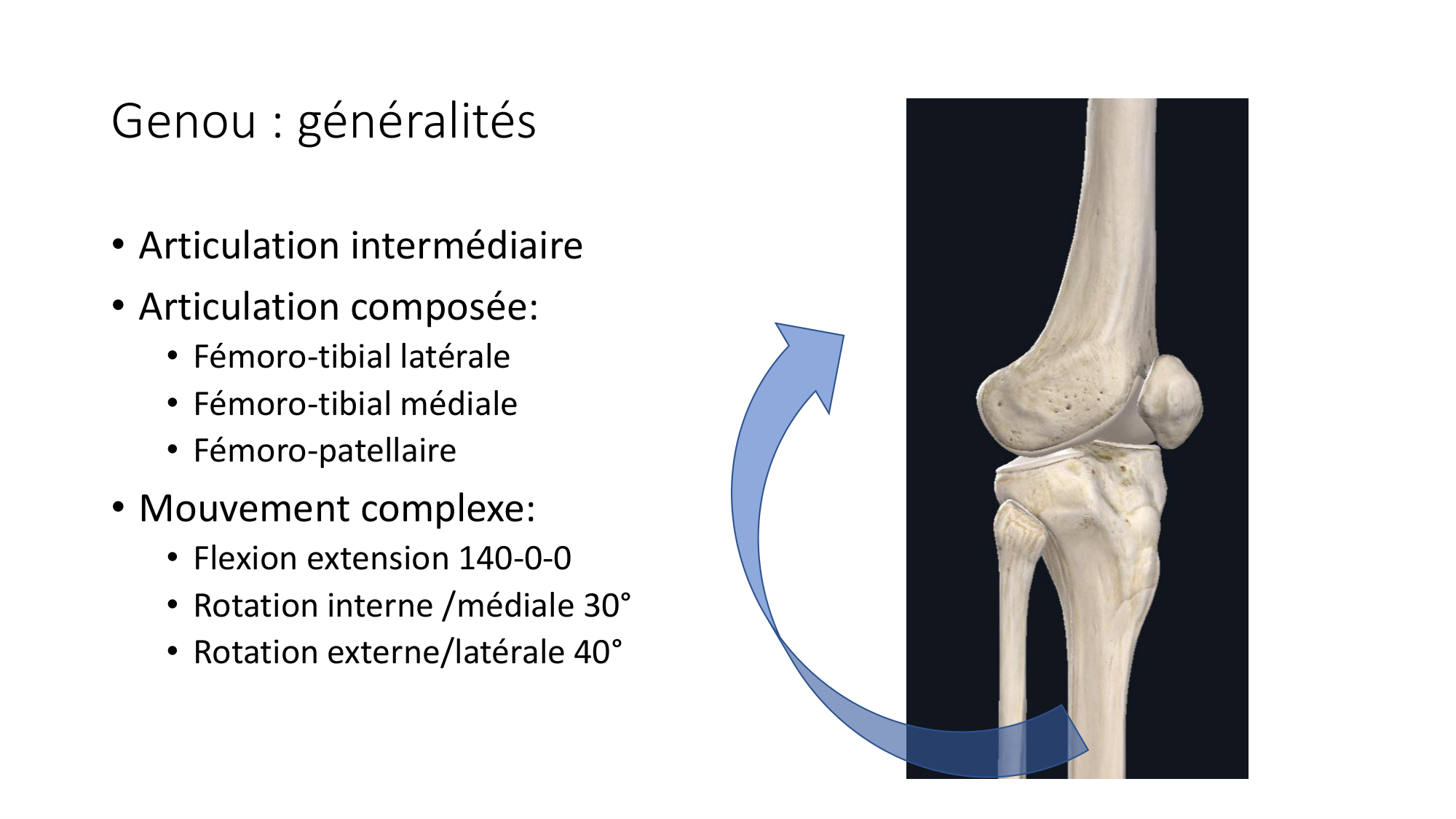 1 BA ostélogie MI bassin 2025-26 page 39