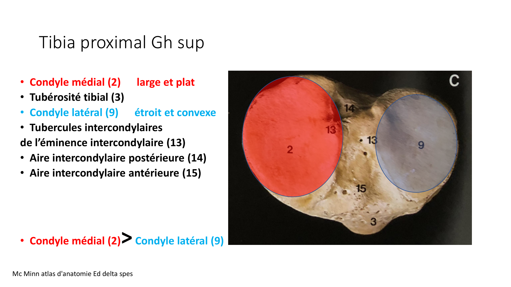 1 BA ostélogie MI bassin 2025-26 page 46