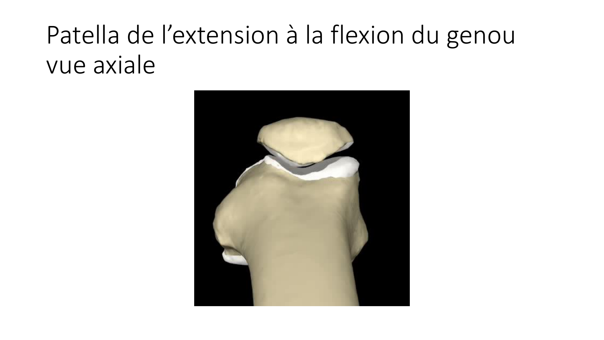 1 BA ostélogie MI bassin 2025-26 page 54