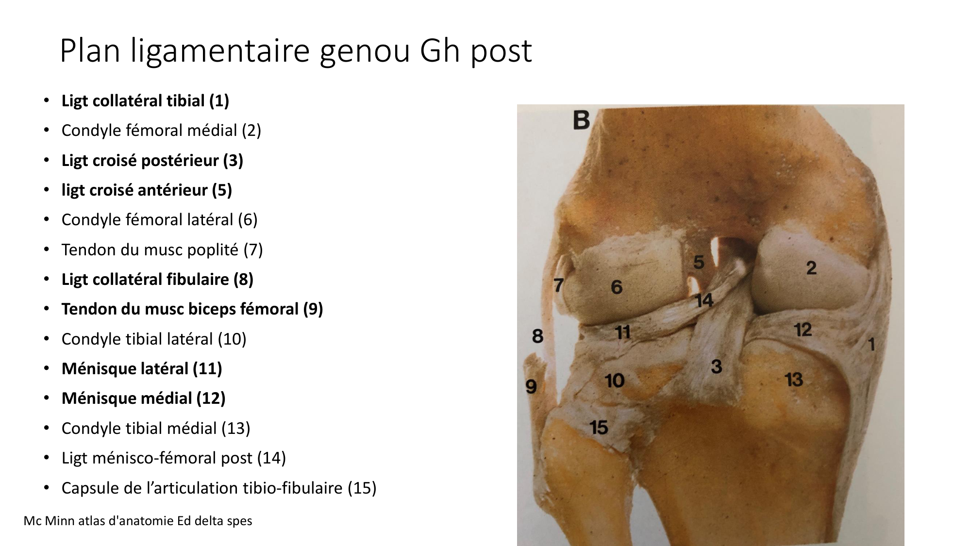1 BA ostélogie MI bassin 2025-26 page 58