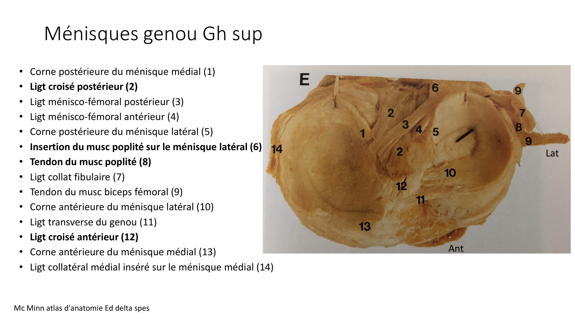 1 BA ostélogie MI bassin 2025-26 page 61