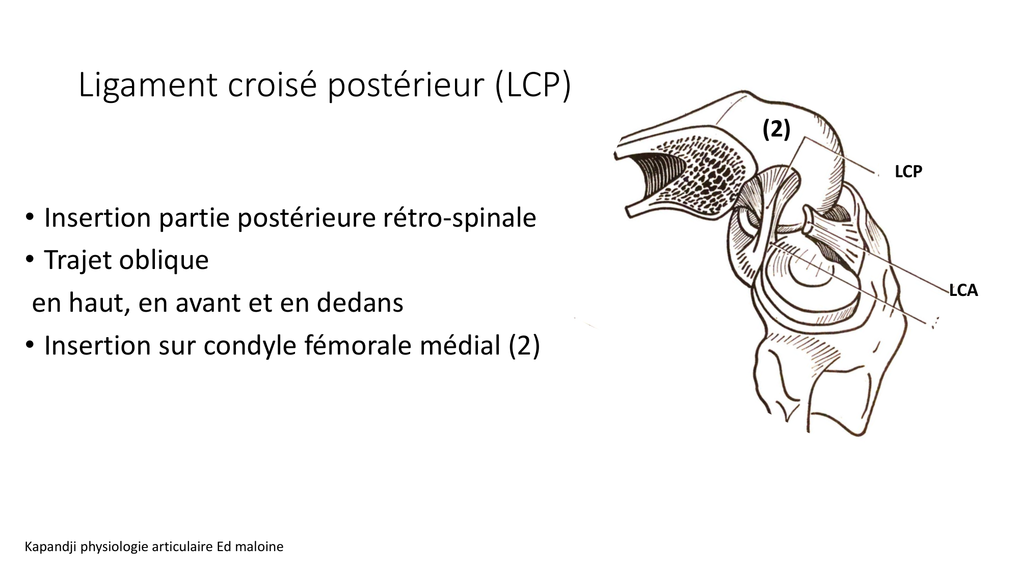 1 BA ostélogie MI bassin 2025-26 page 69