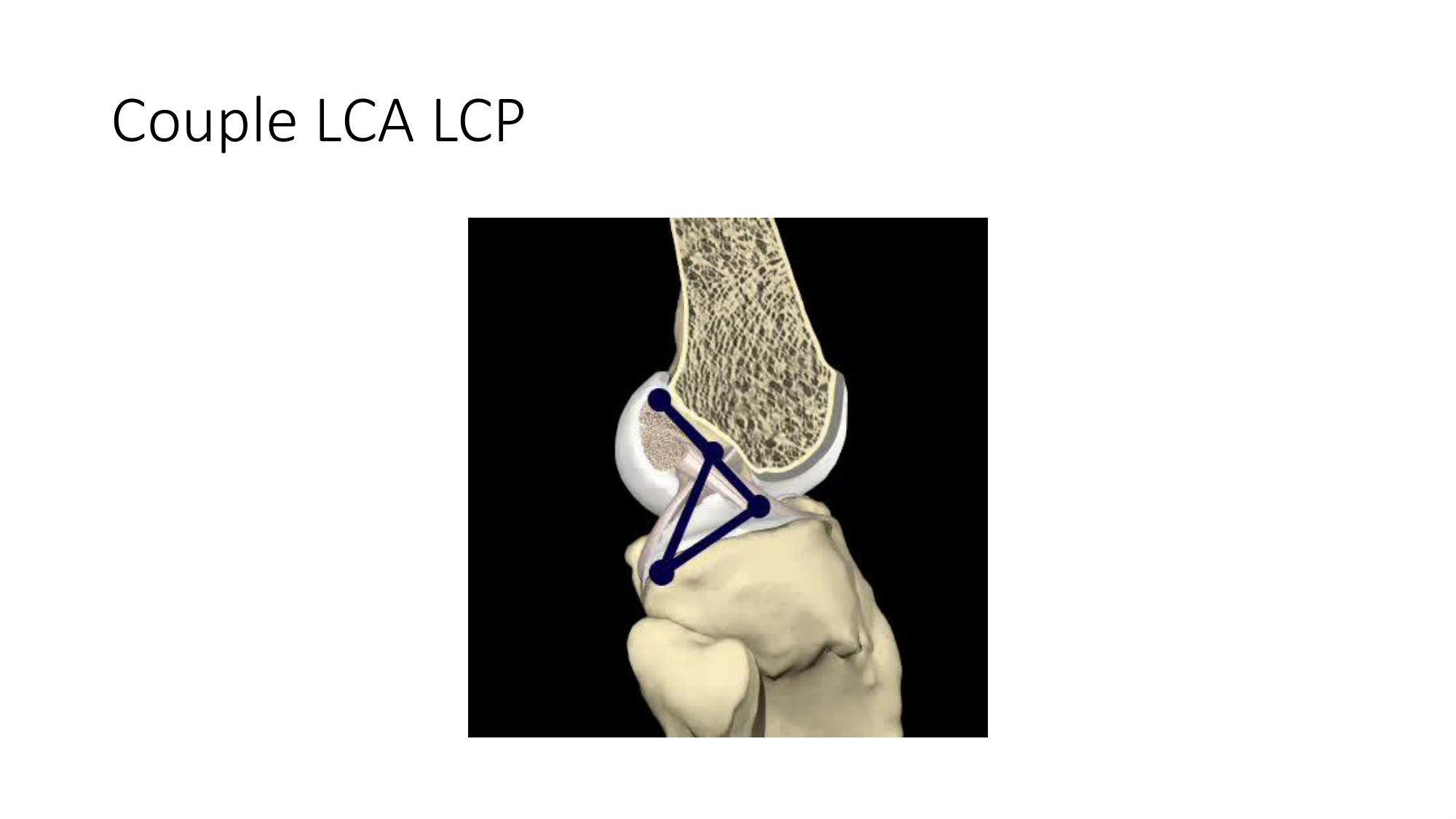 1 BA ostélogie MI bassin 2025-26 page 72