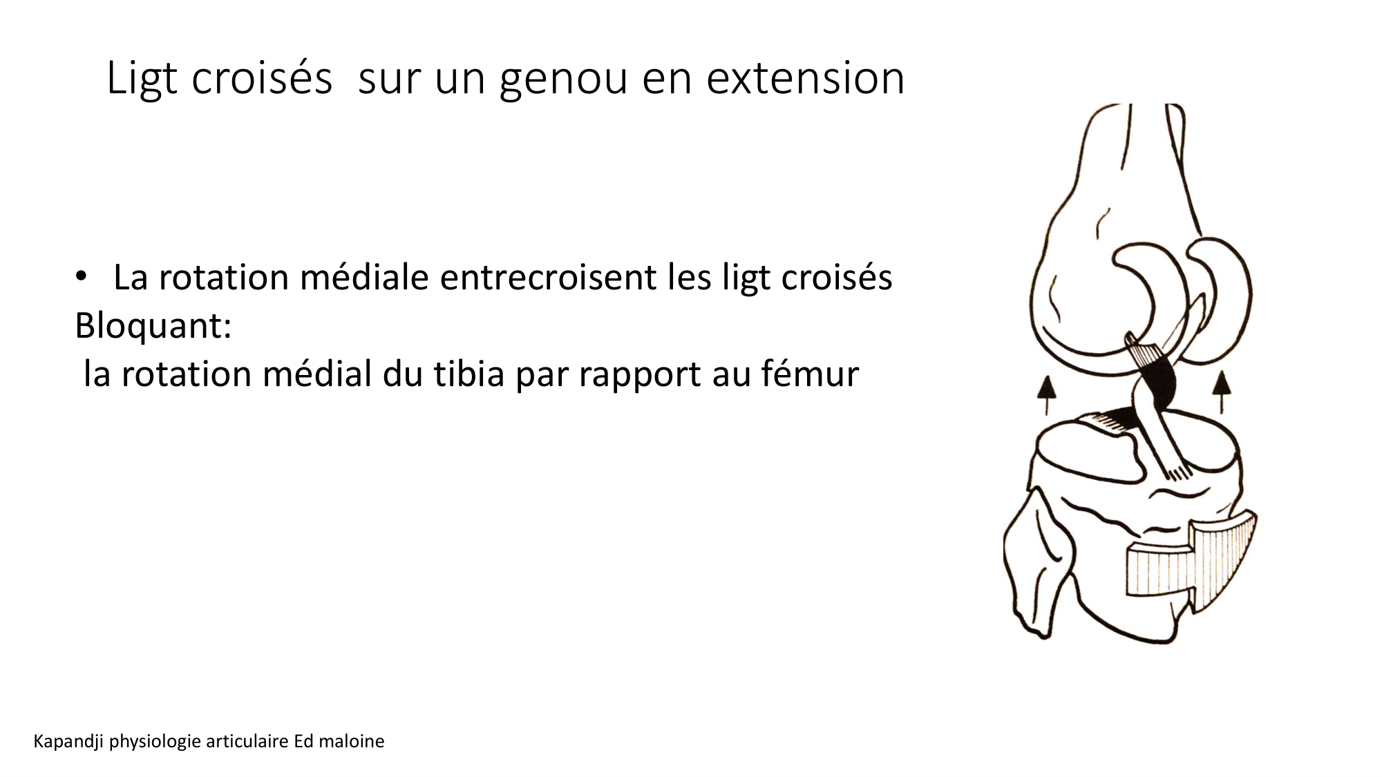1 BA ostélogie MI bassin 2025-26 page 73