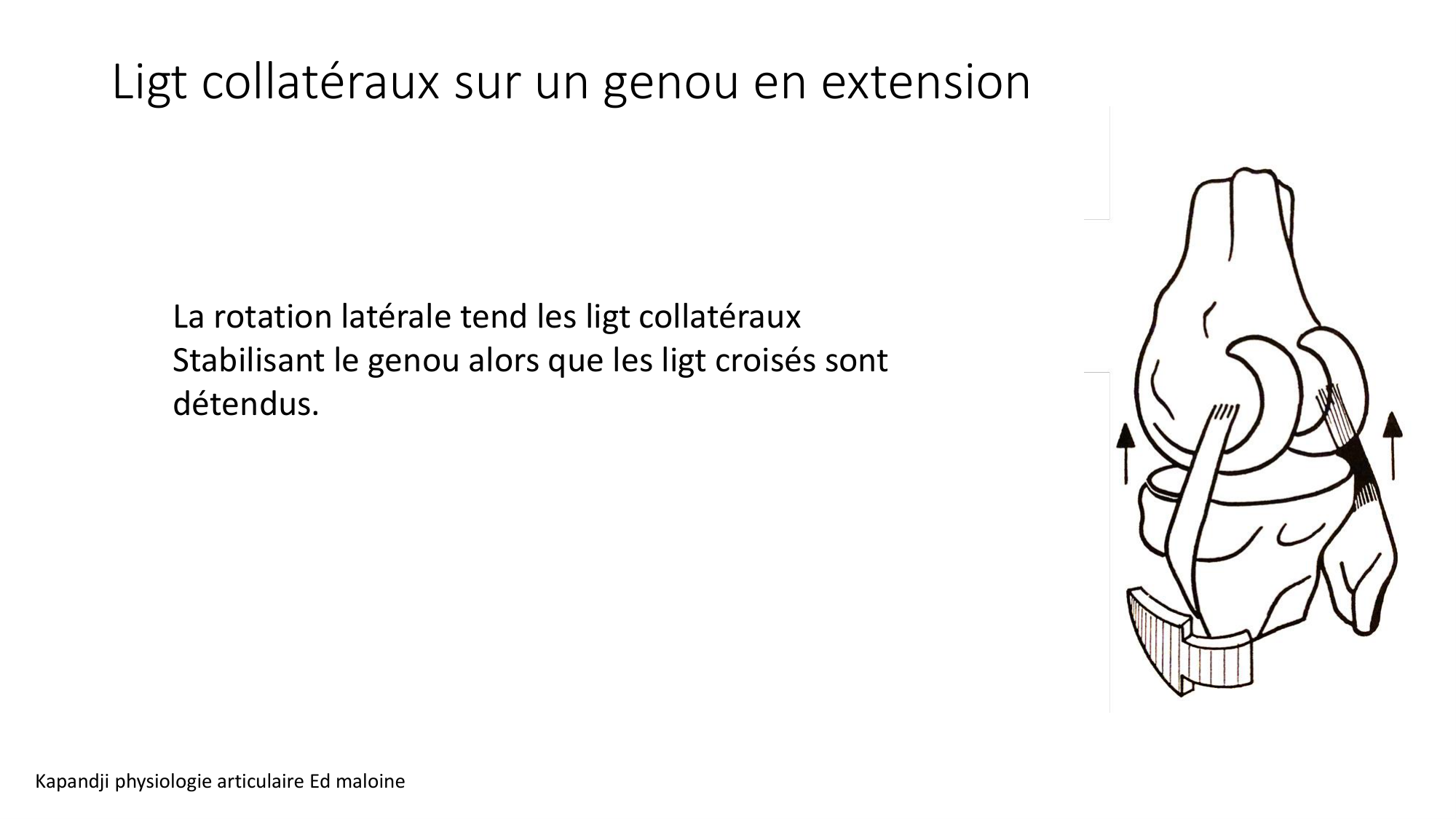 1 BA ostélogie MI bassin 2025-26 page 75
