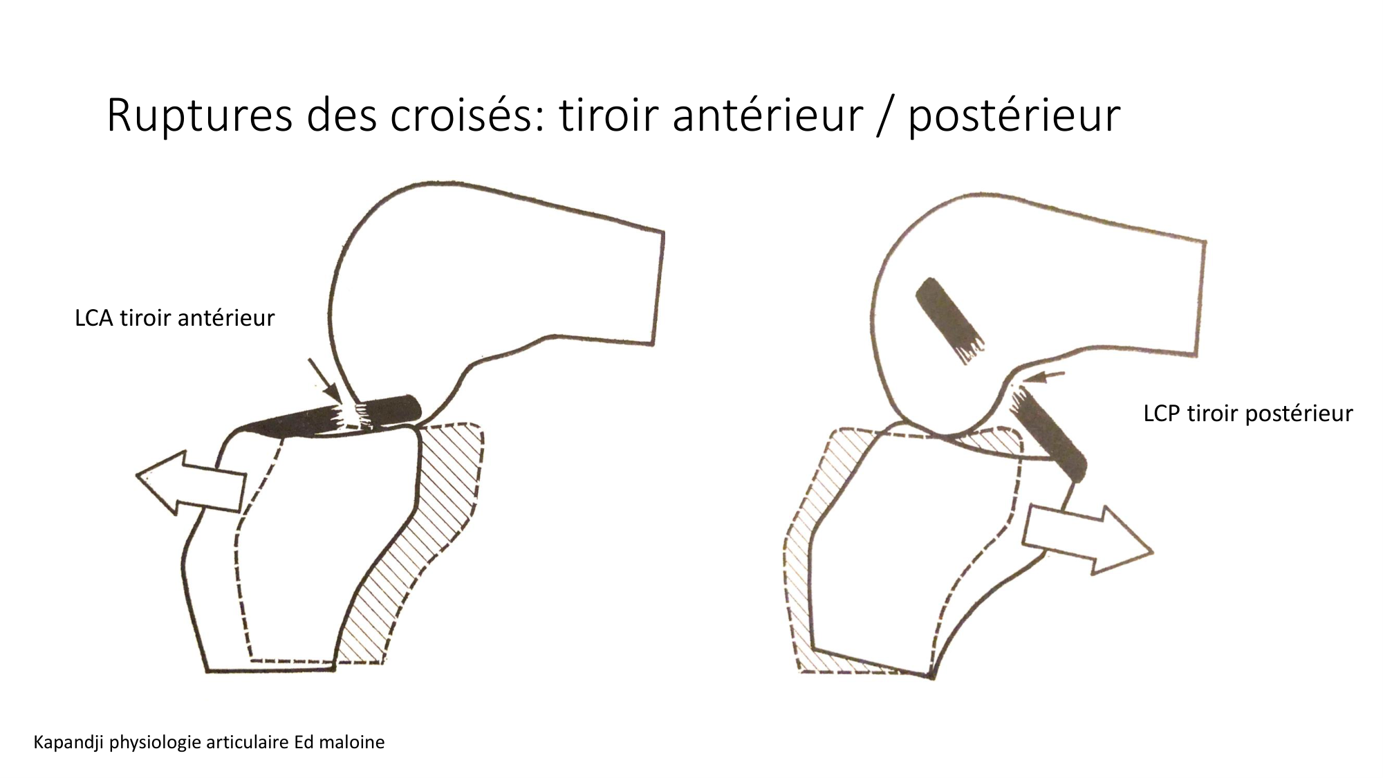 1 BA ostélogie MI bassin 2025-26 page 76