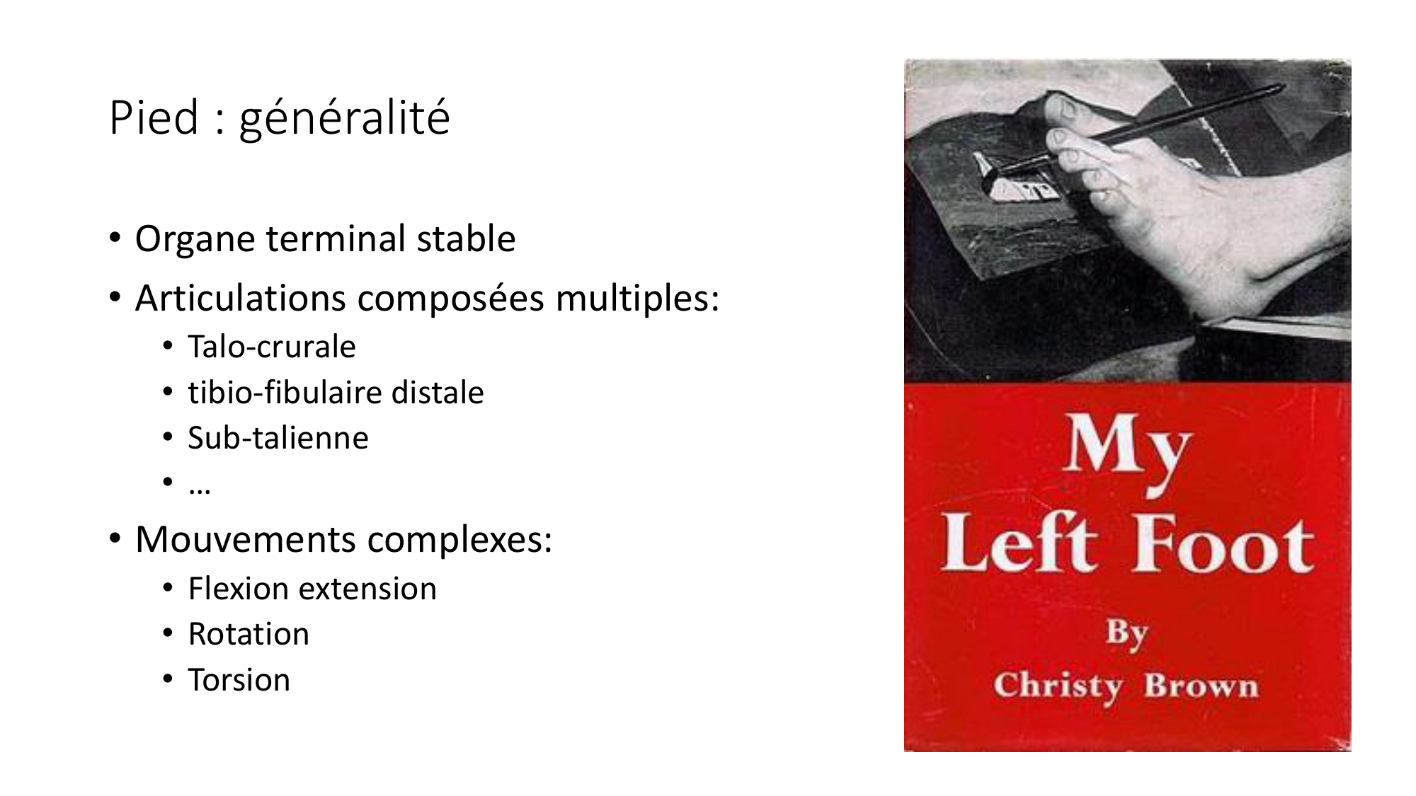 1 BA ostélogie MI bassin 2025-26 page 79