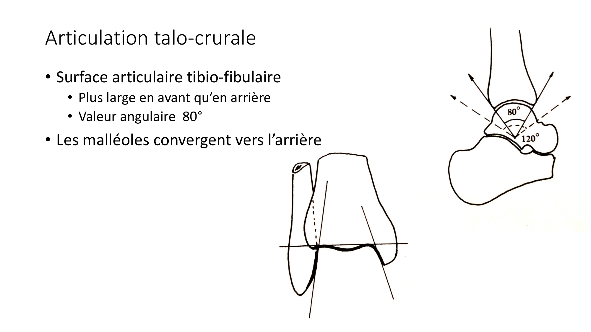 1 BA ostélogie MI bassin 2025-26 page 90