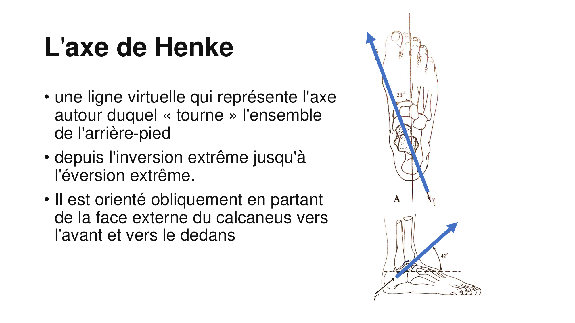 1 BA ostélogie MI bassin 2025-26 page 96