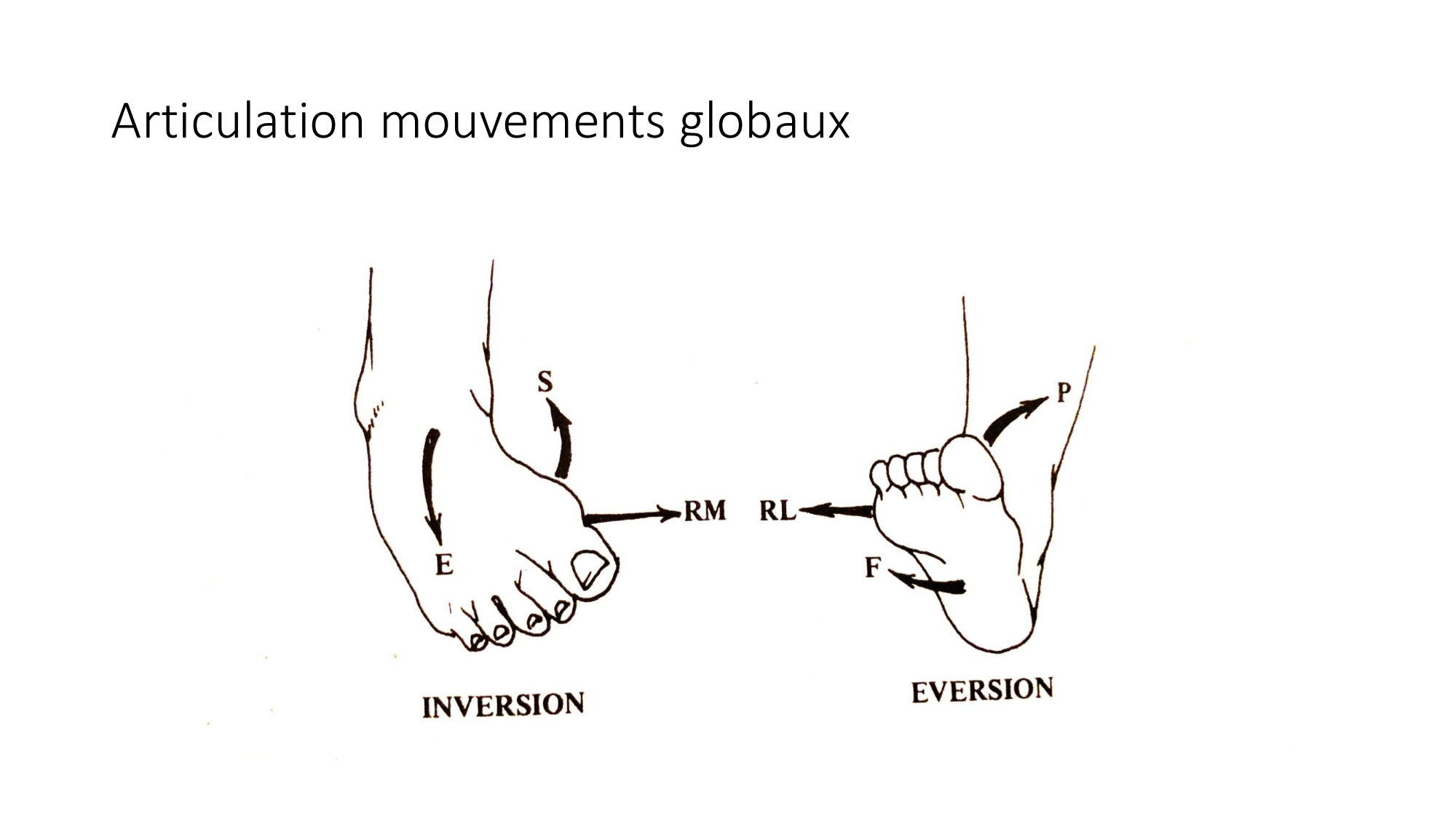 1 BA ostélogie MI bassin 2025-26 page 100
