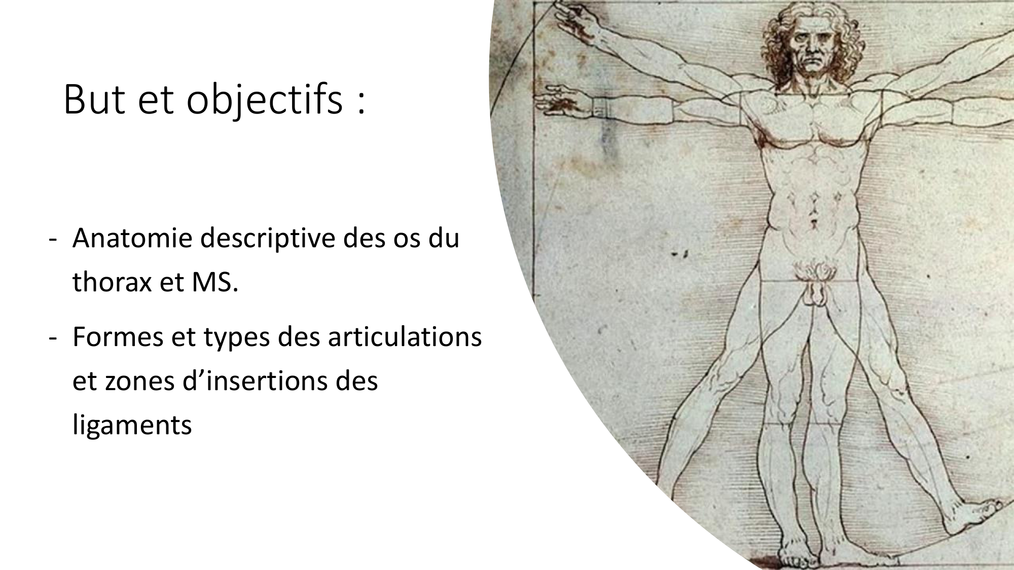 1 BA ostéologie MS thorax 2025-26 page 2