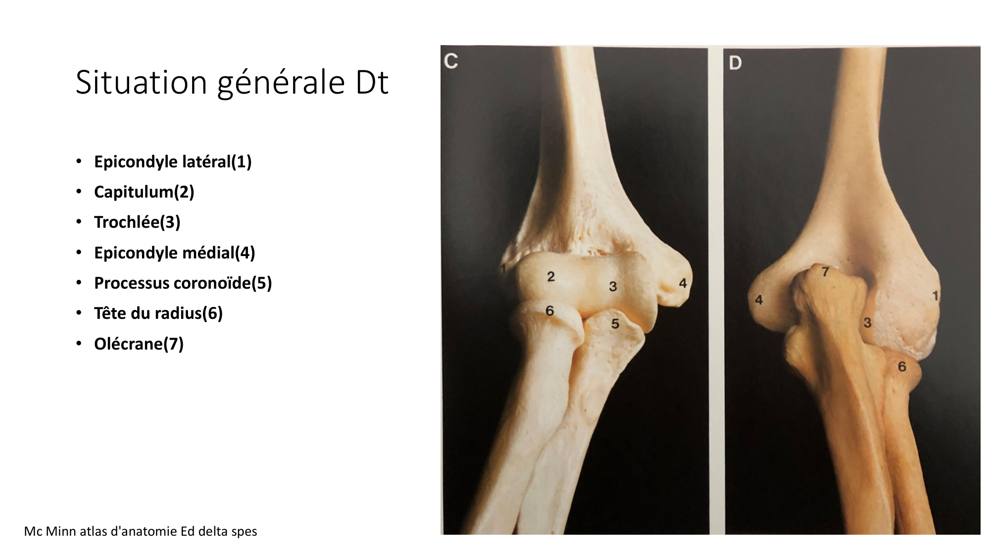 1 BA ostéologie MS thorax 2025-26 page 52
