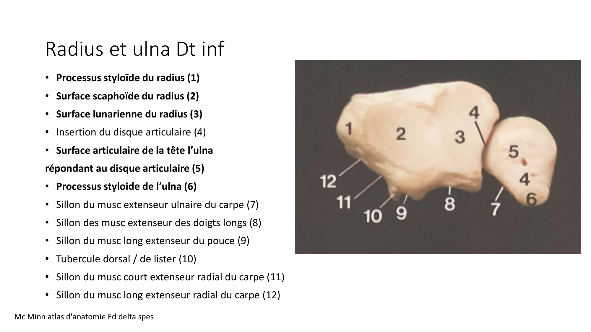 1 BA ostéologie MS thorax 2025-26 page 66