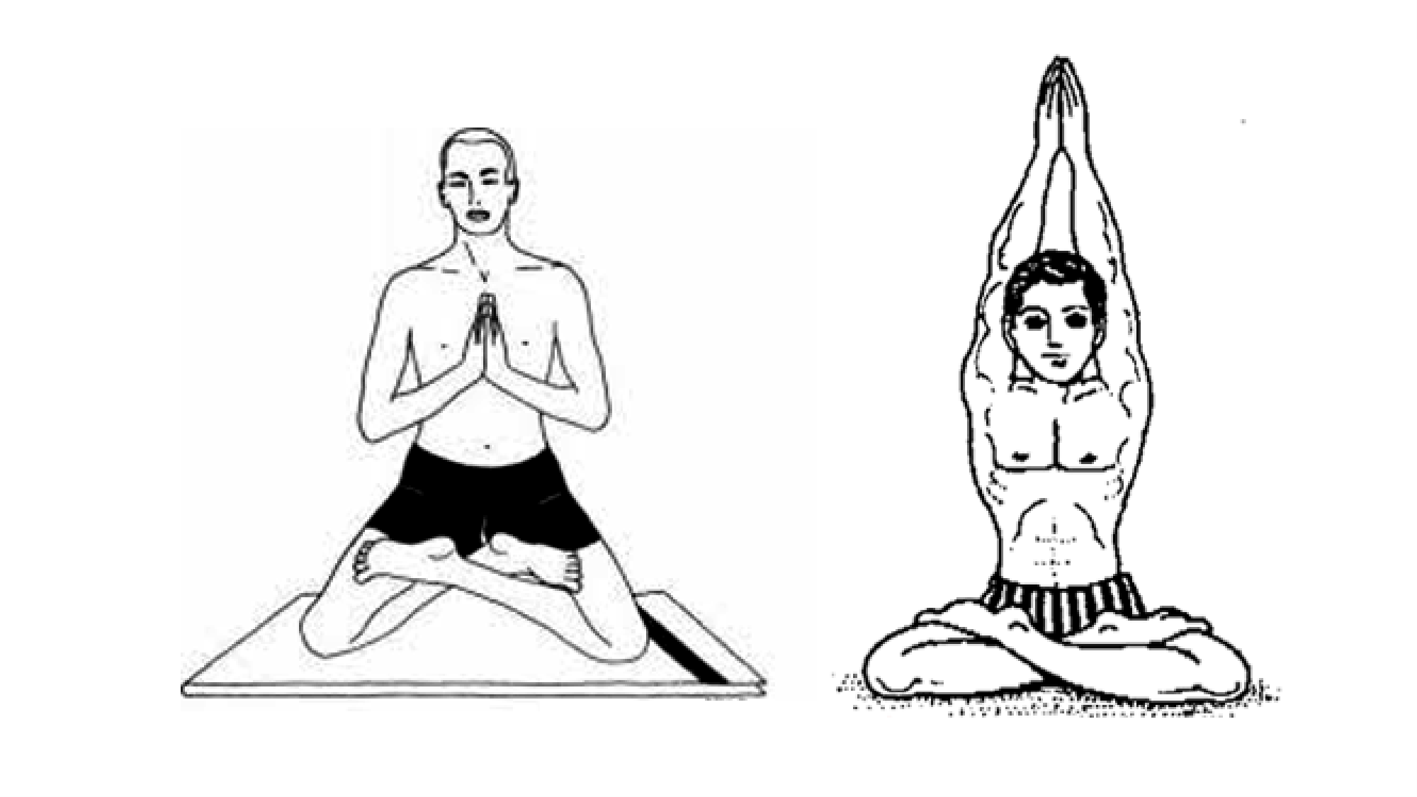 1 BA ostéologie MS thorax 2025-26 page 89