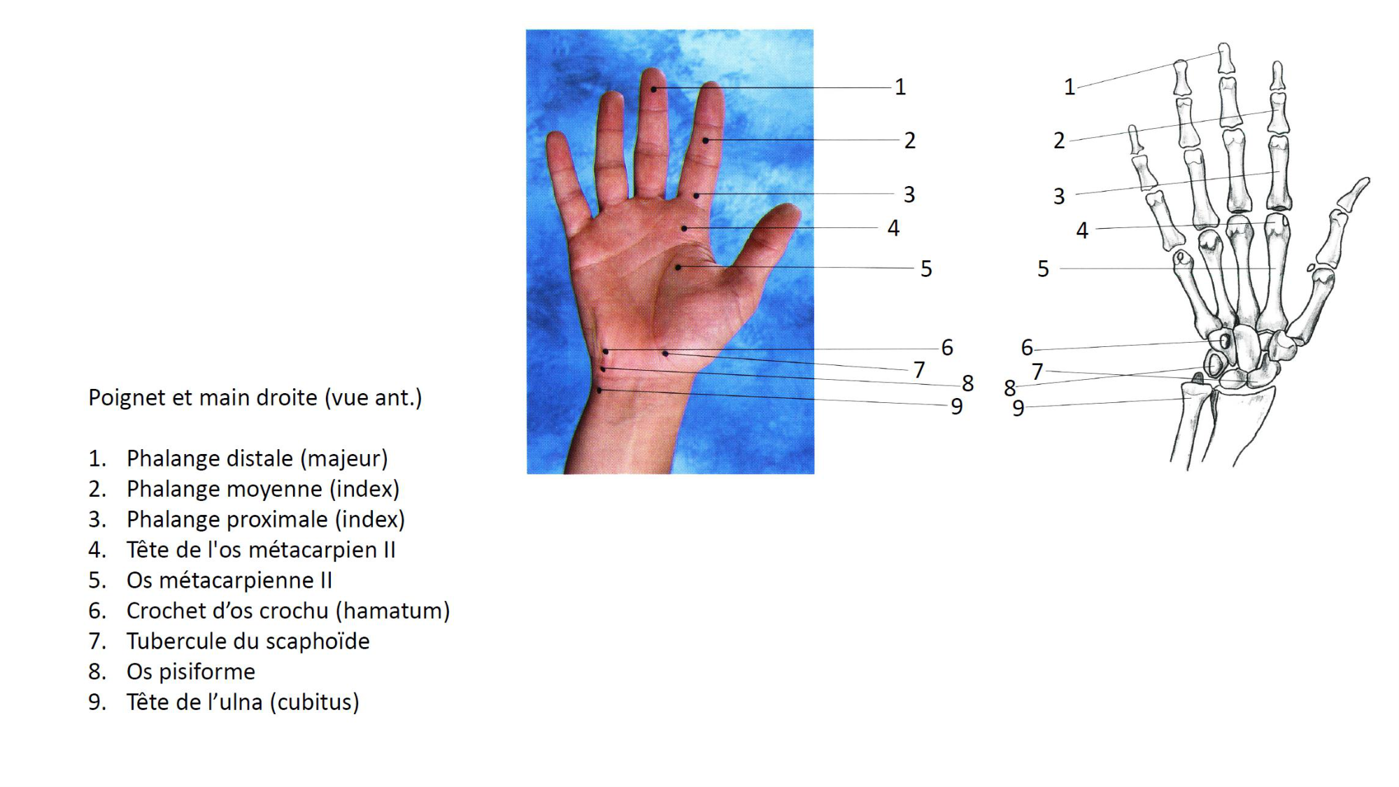 1BA main 2025-26 page 2