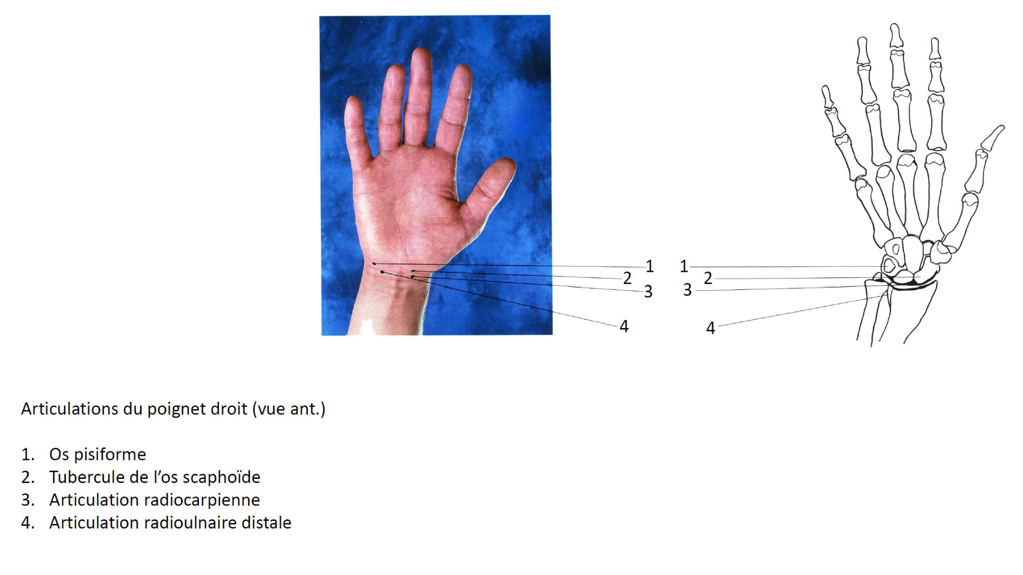 1BA main 2025-26 page 4