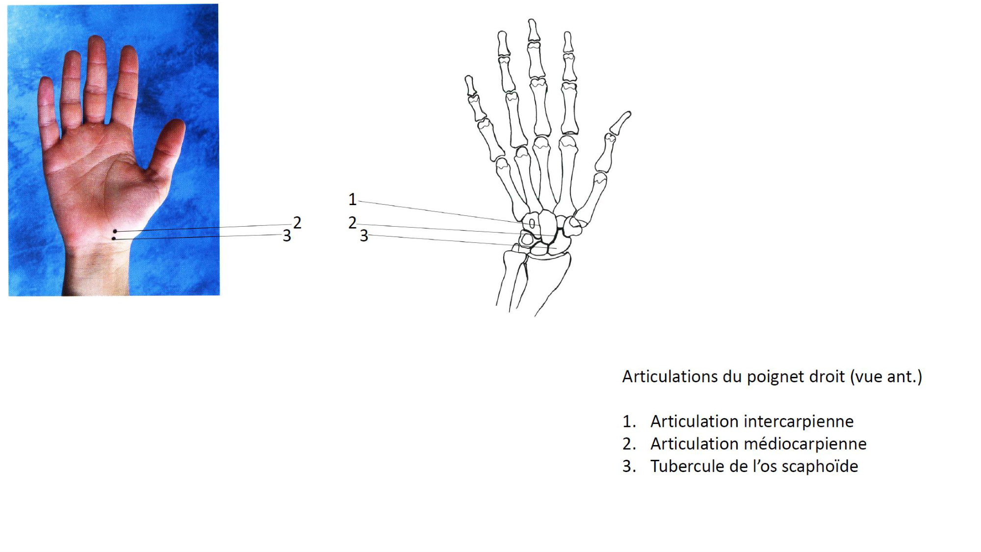 1BA main 2025-26 page 5