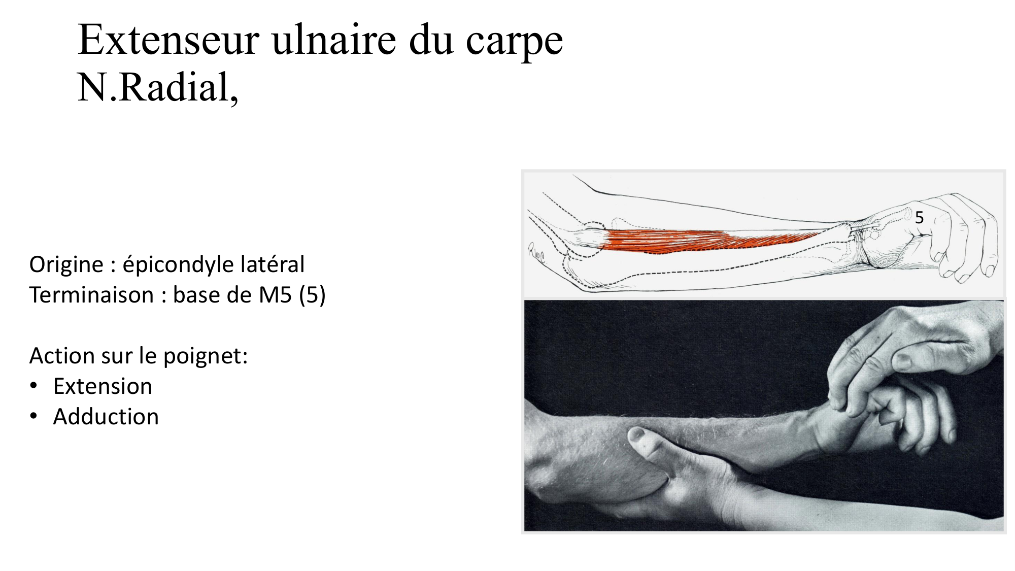 1BA main 2025-26 page 14