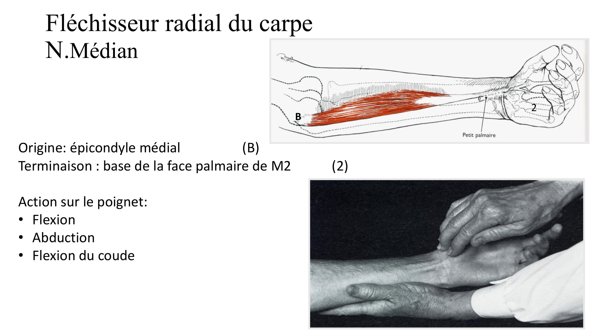 1BA main 2025-26 page 17