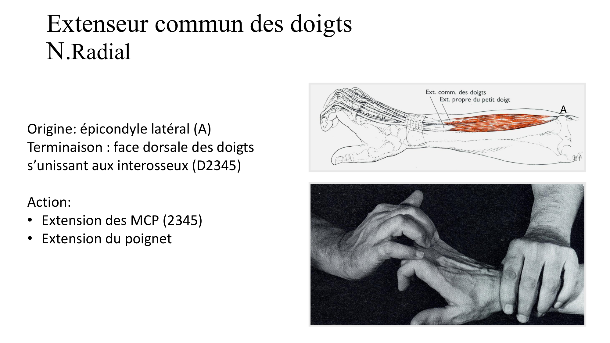 1BA main 2025-26 page 23