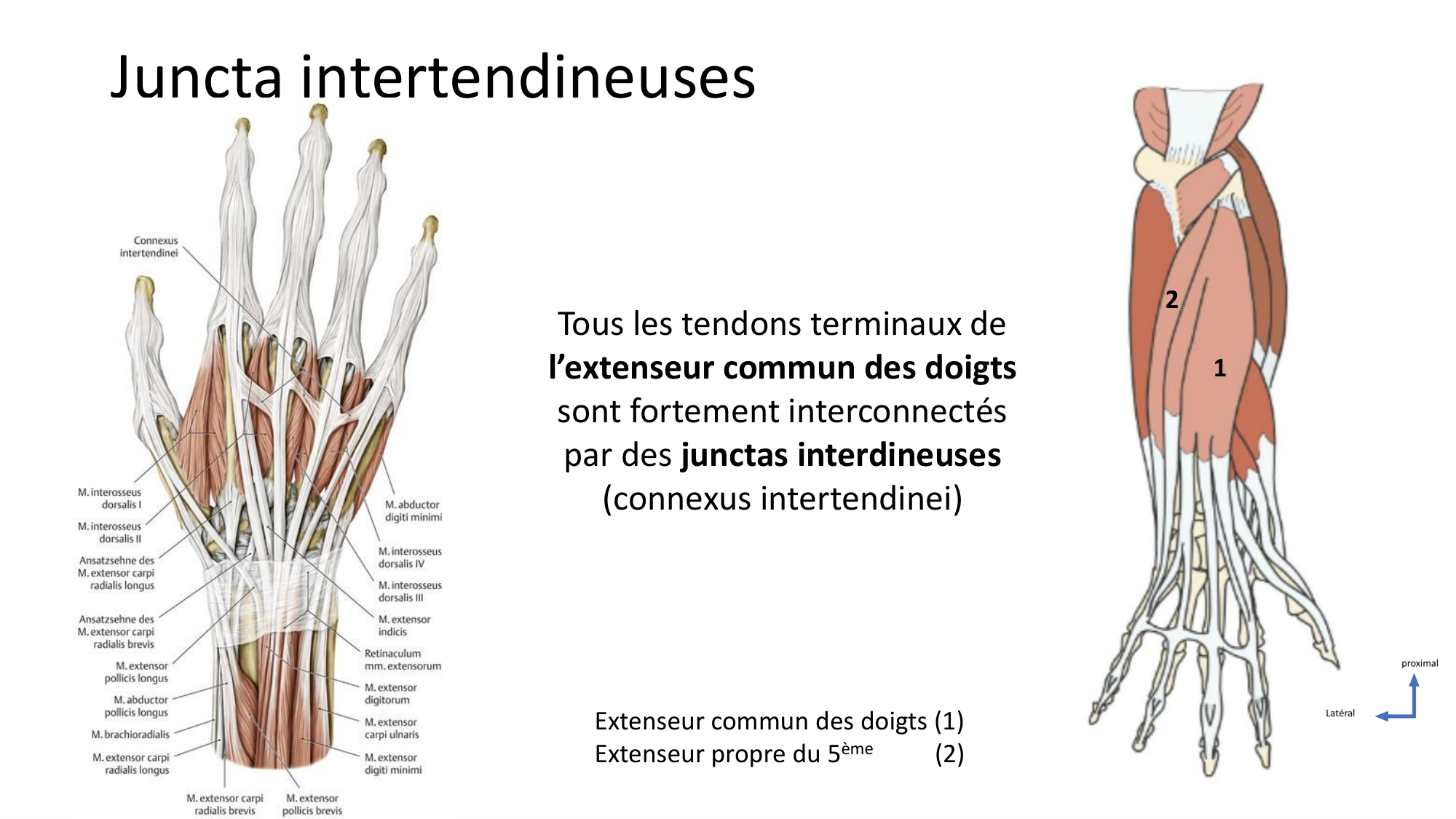 1BA main 2025-26 page 25