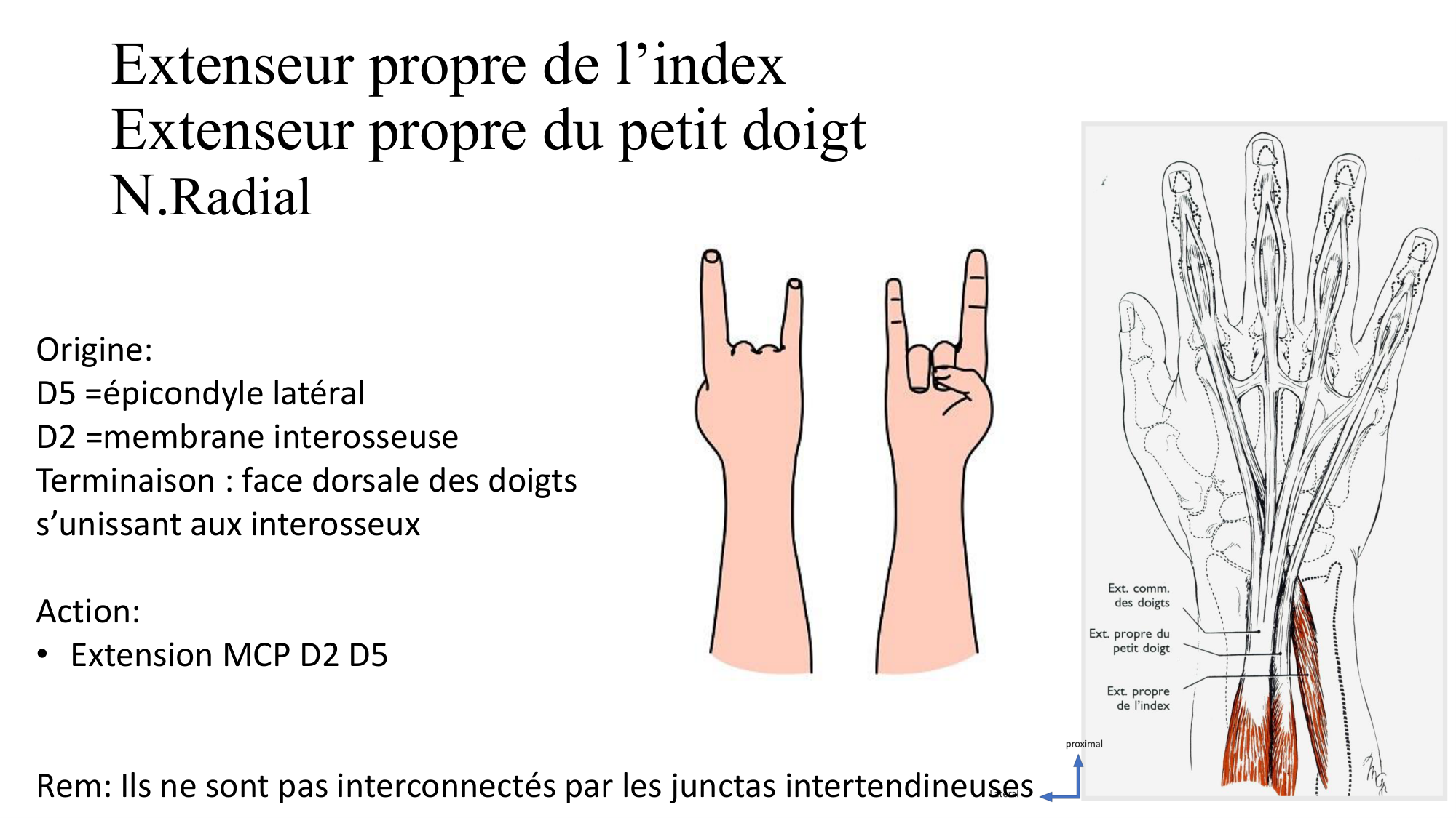 1BA main 2025-26 page 26