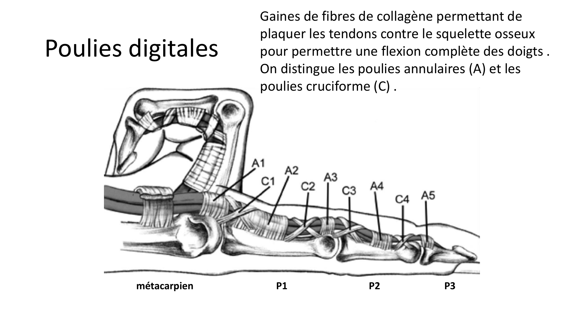 1BA main 2025-26 page 32
