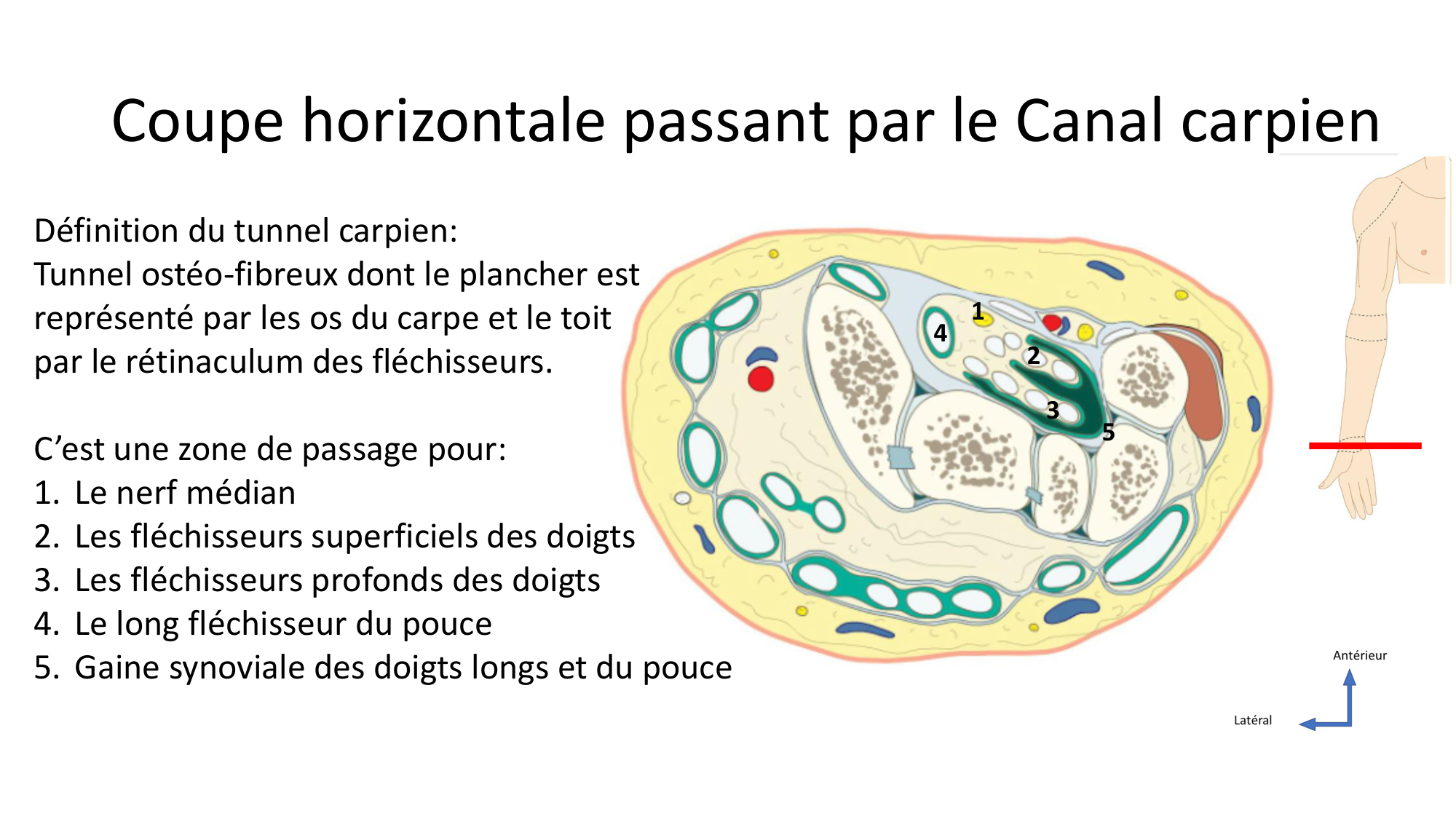 1BA main 2025-26 page 34
