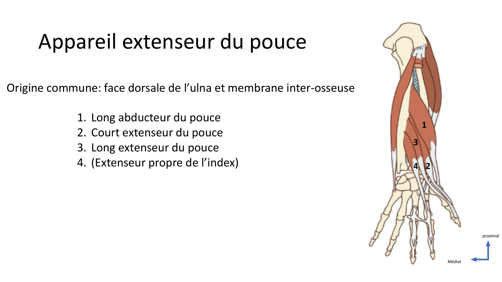 1BA main 2025-26 page 35