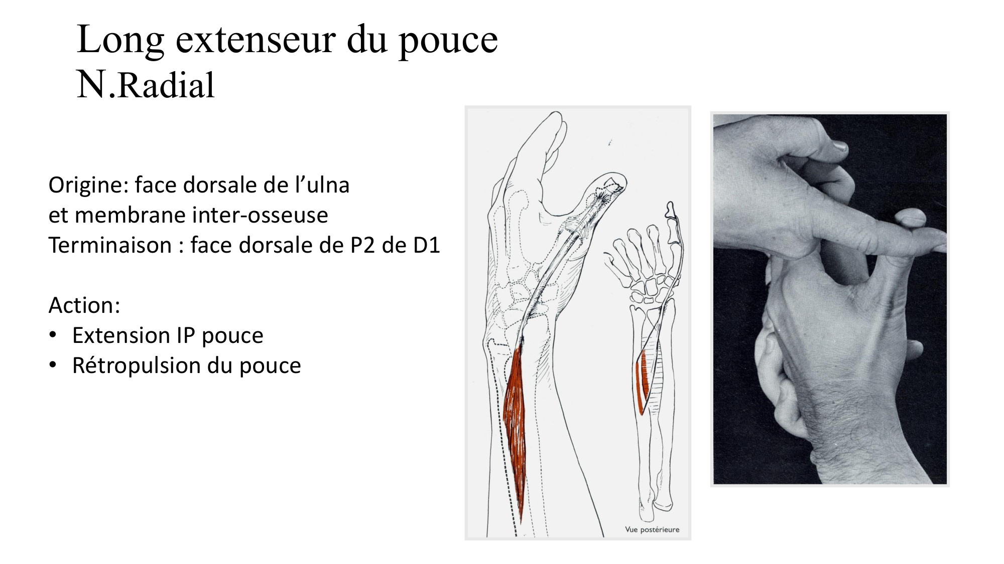 1BA main 2025-26 page 36