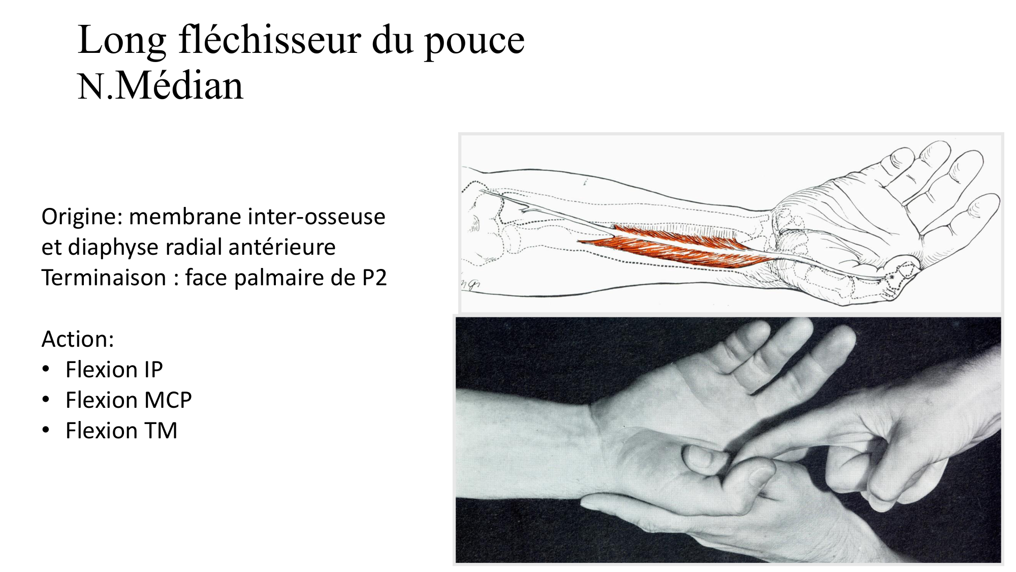 1BA main 2025-26 page 41