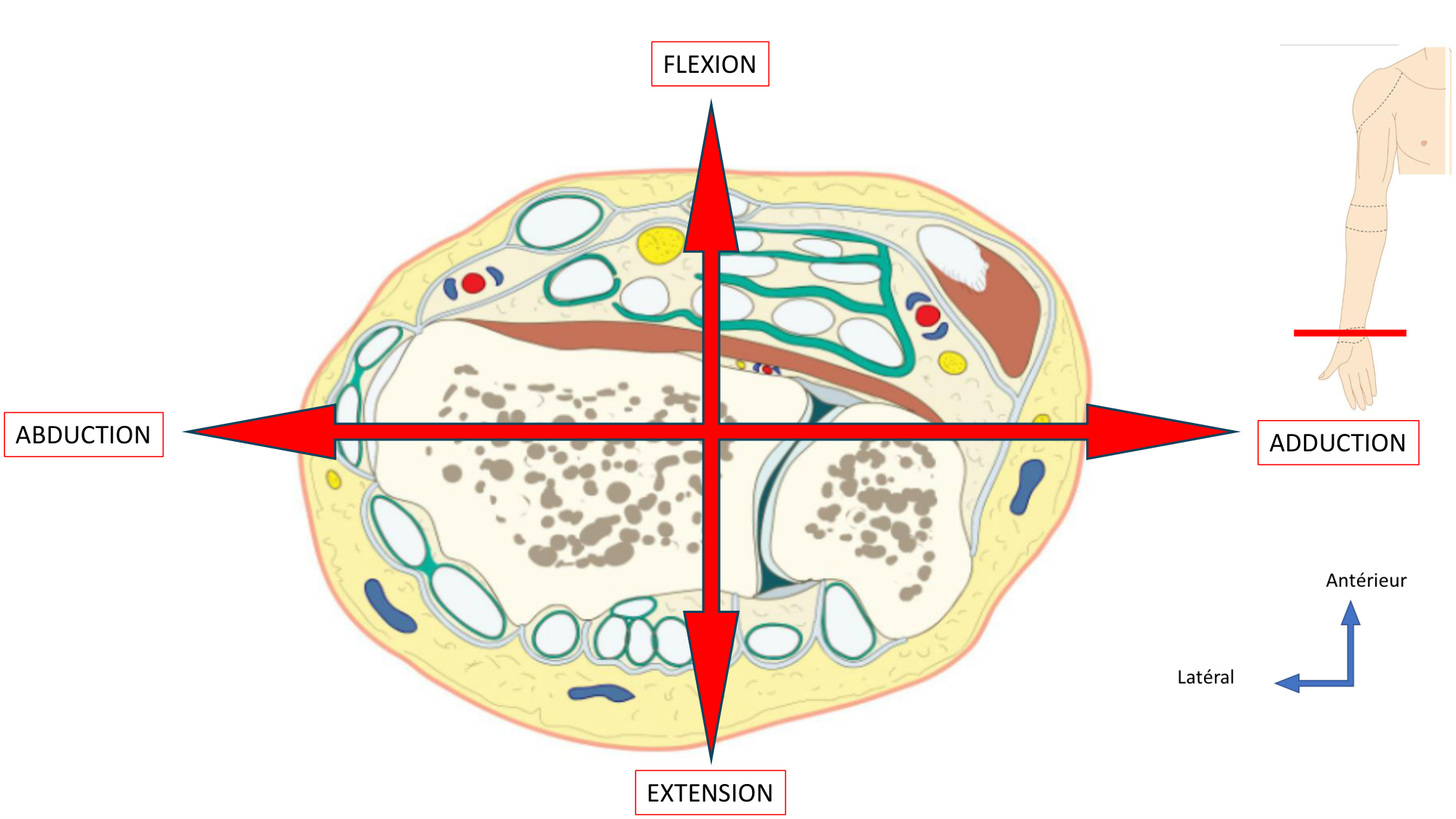 1BA main 2025-26 page 43