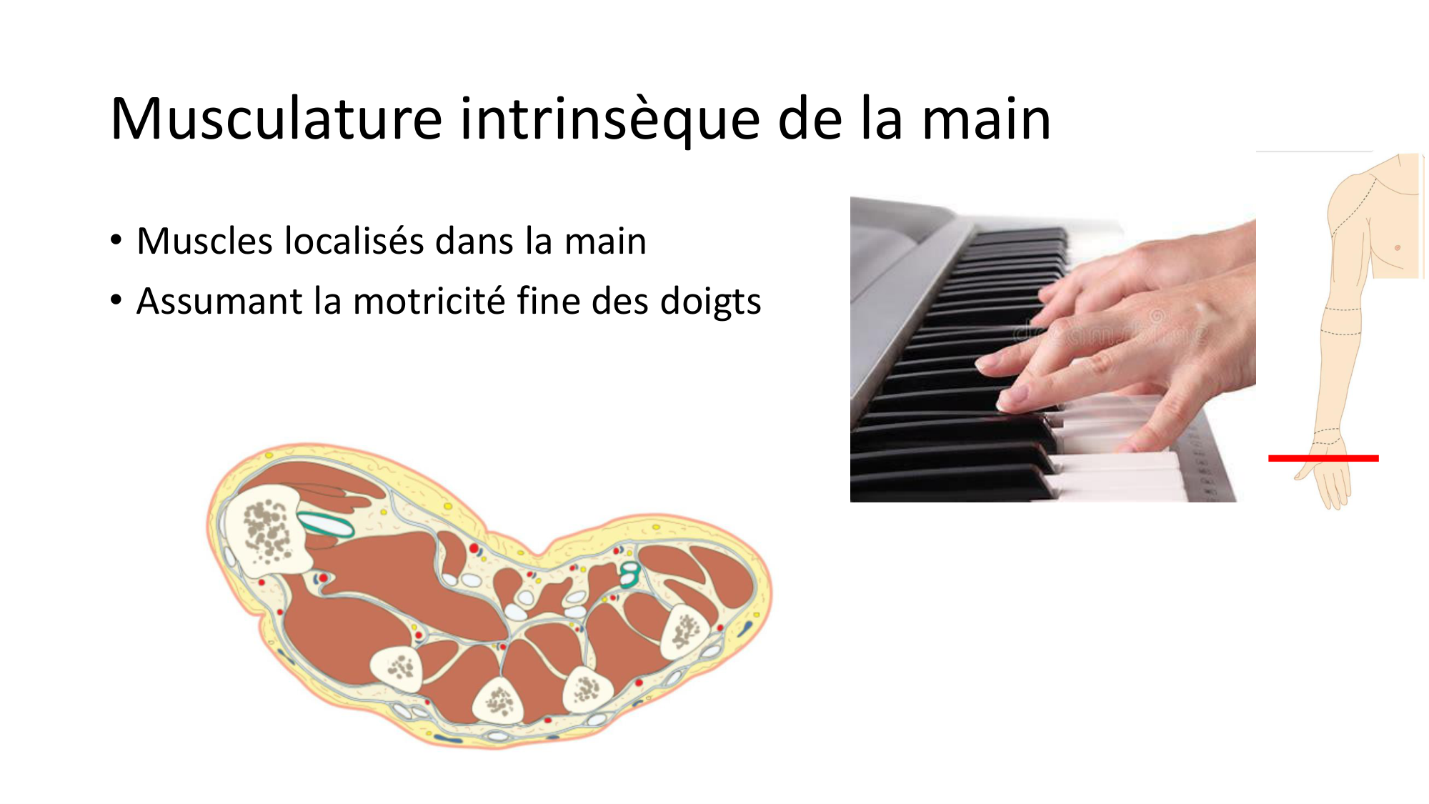 1BA main 2025-26 page 44