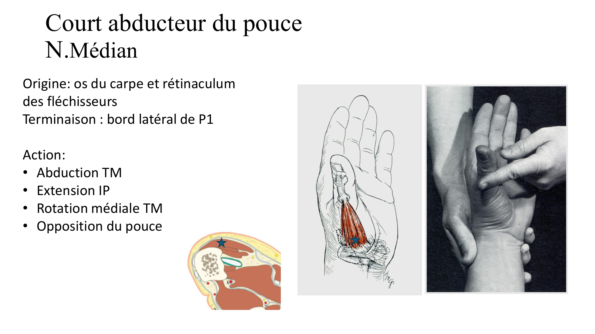 1BA main 2025-26 page 47