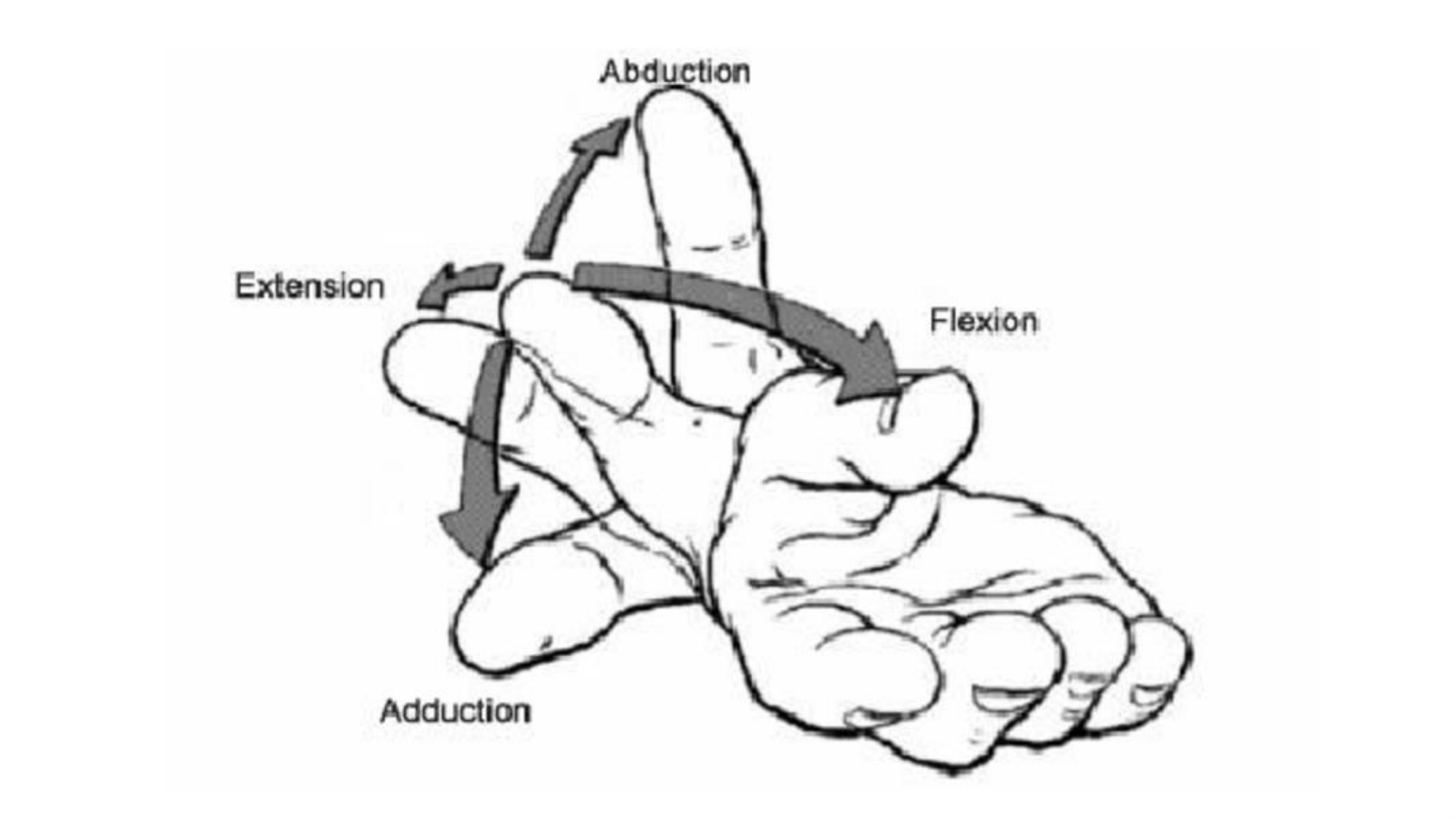 1BA main 2025-26 page 48