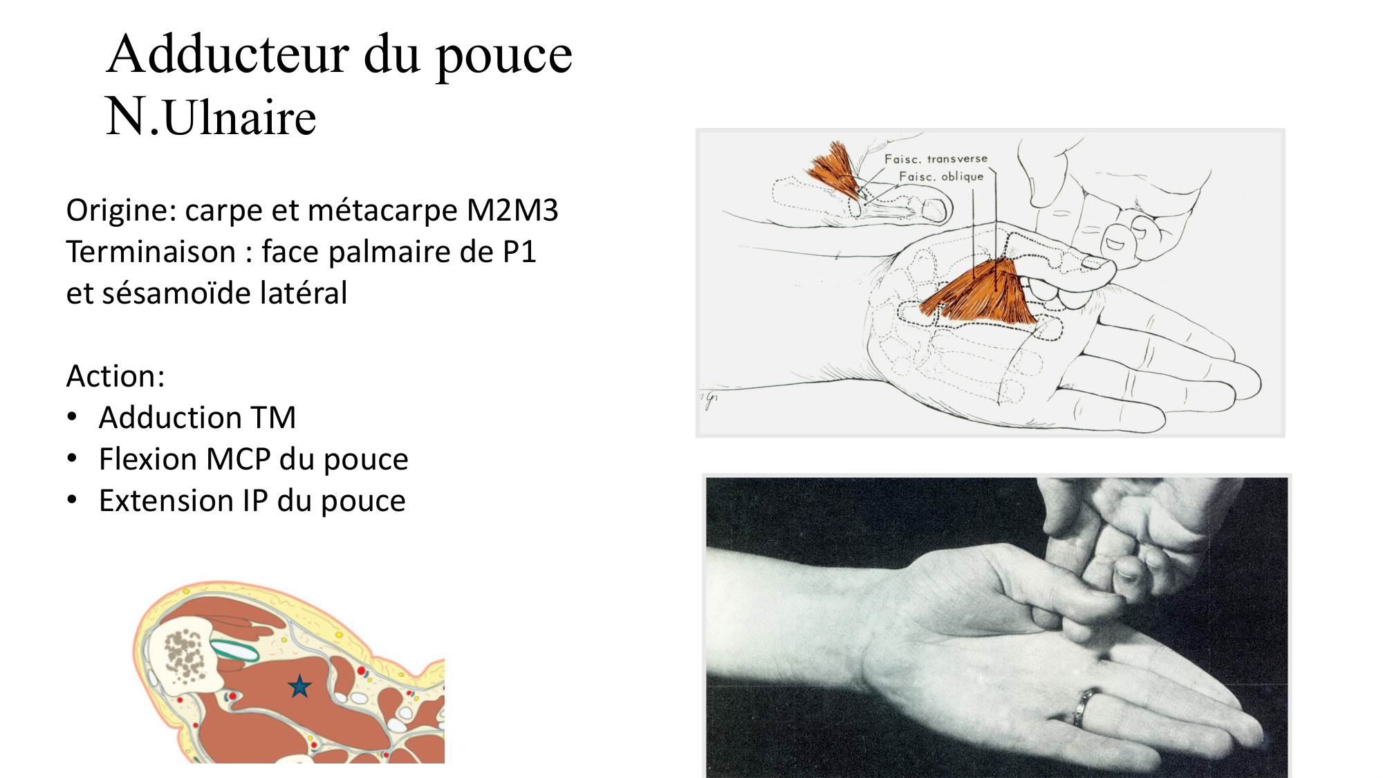 1BA main 2025-26 page 49